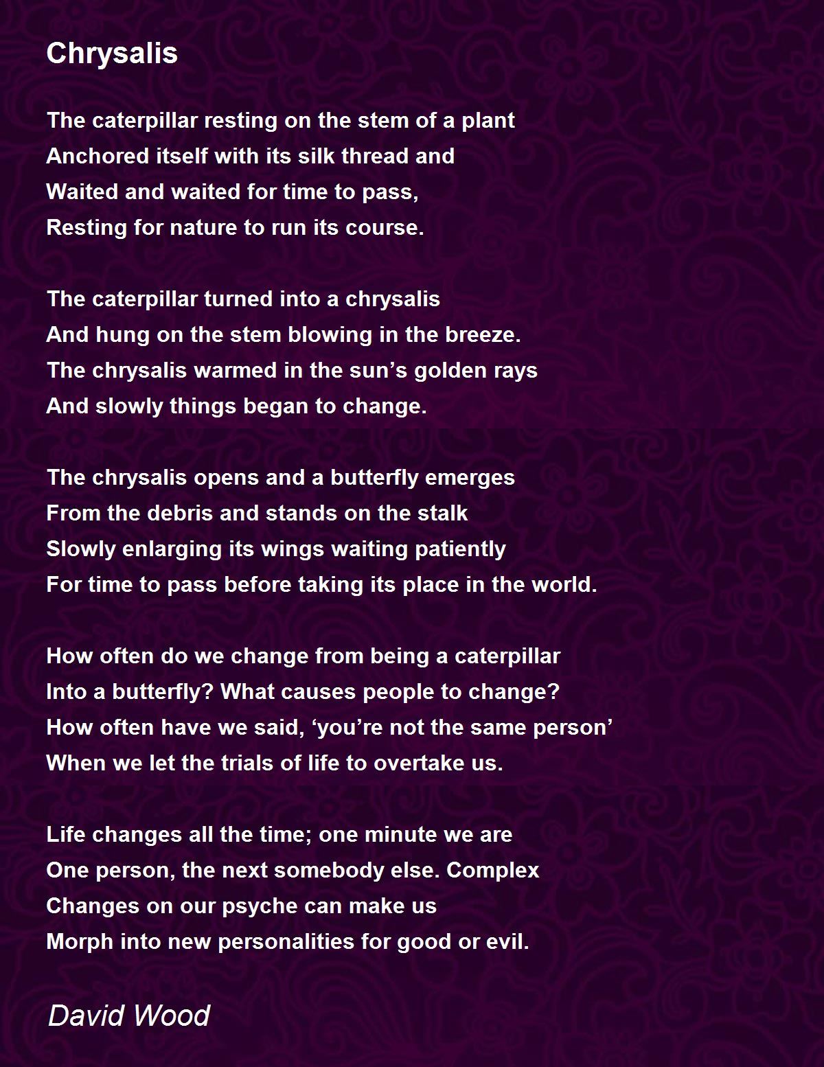 Chrysalis Chrysalis Poem by David Wood