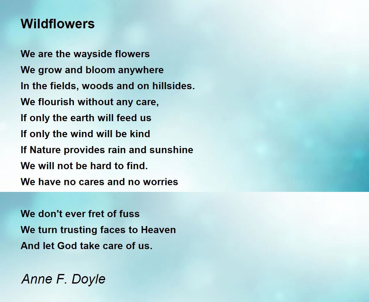 Wildflowers Wildflowers Poem by Anne F. Doyle