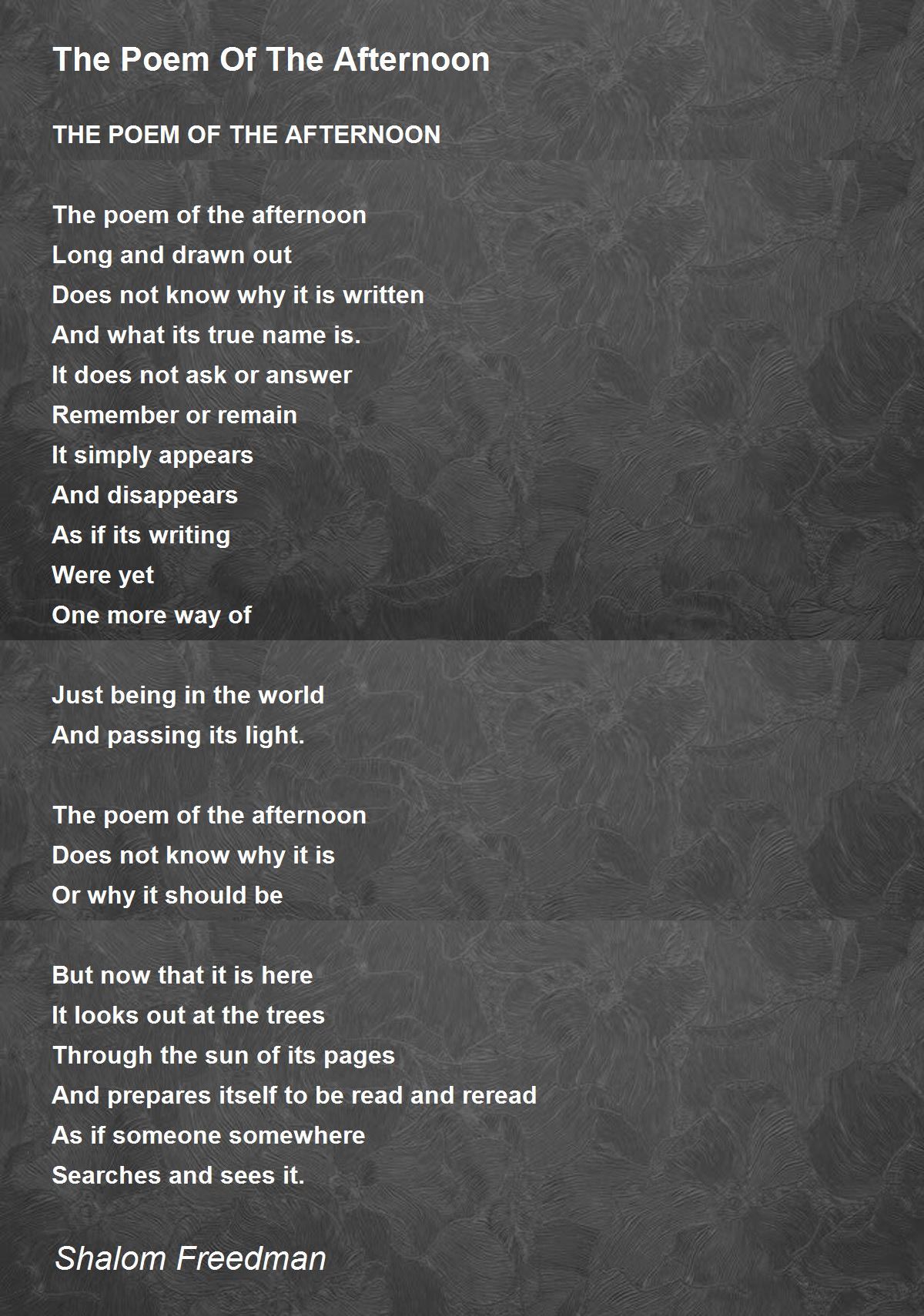 The Poem Of The Afternoon Poem by Shalom Freedman Poem Hunter