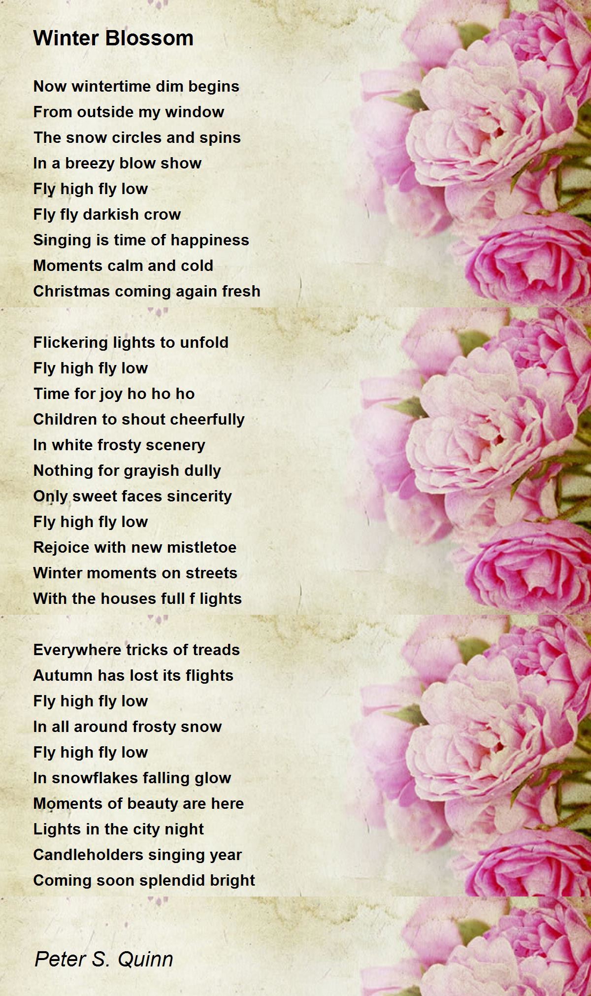 Winter Blossom Poem by Peter S. Quinn Poem Hunter