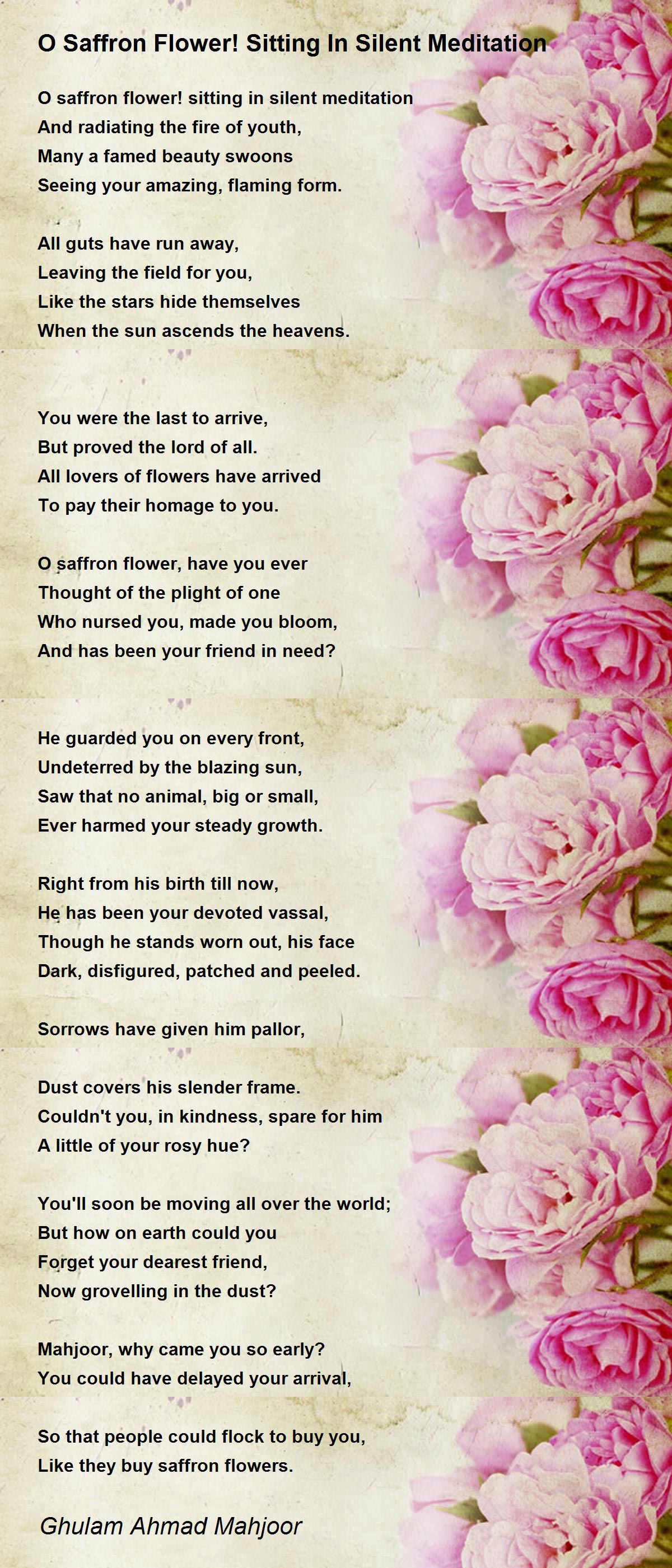 O Saffron Flower! Sitting In Silent Meditation O Saffron Flower