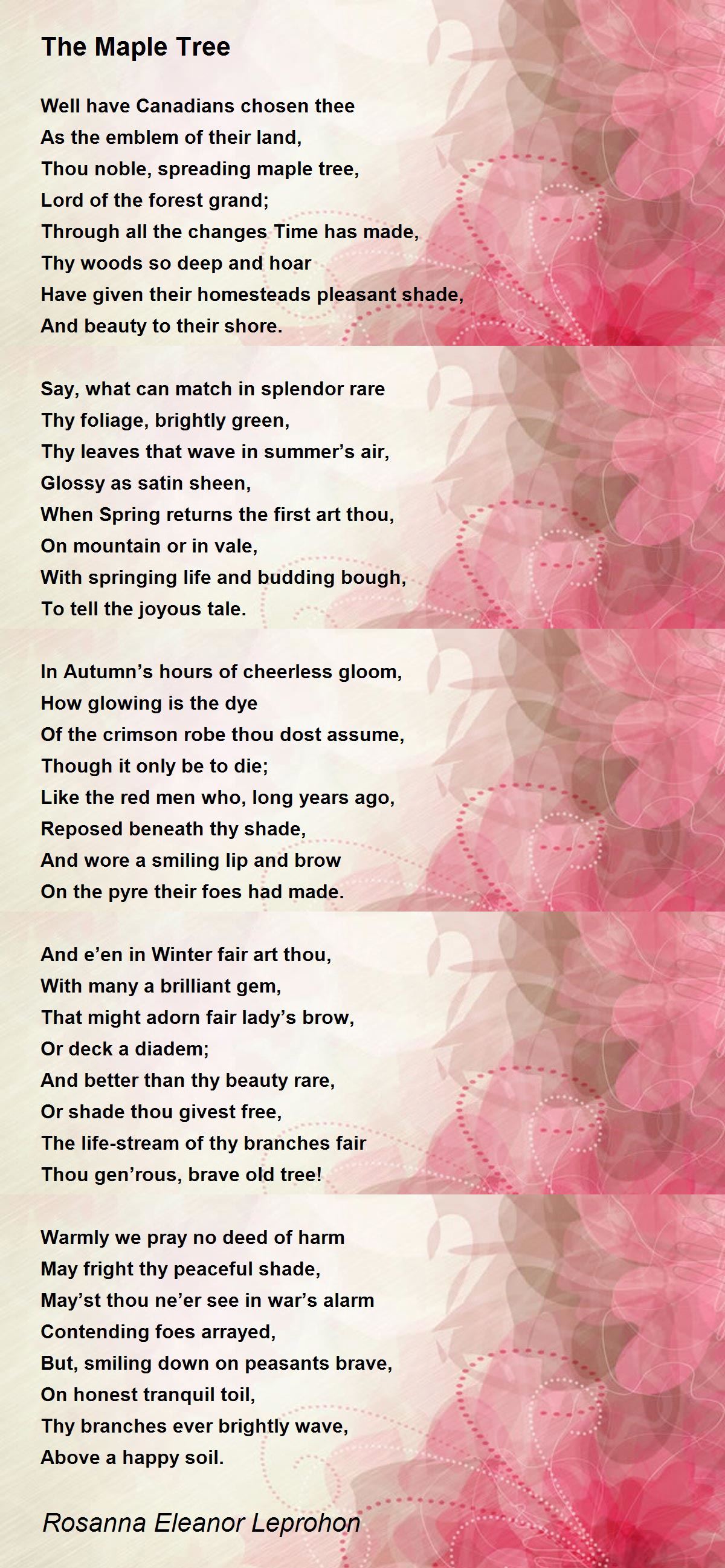 The Maple Tree by Rosanna Eleanor Leprohon The Maple Tree Poem