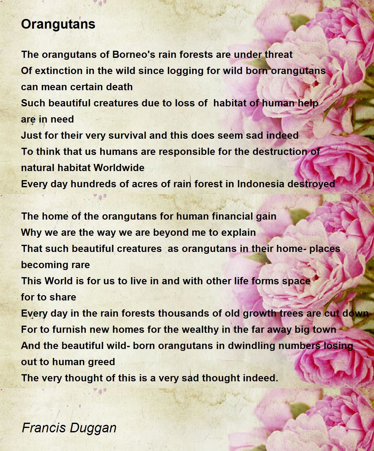  Orangutans  Poem  by Francis Duggan Poem  Hunter