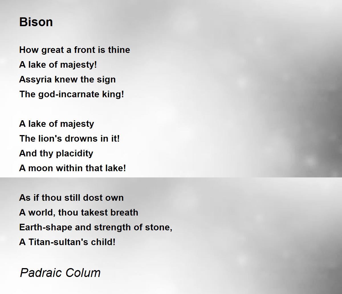Bison Bison Poem by Padraic Colum