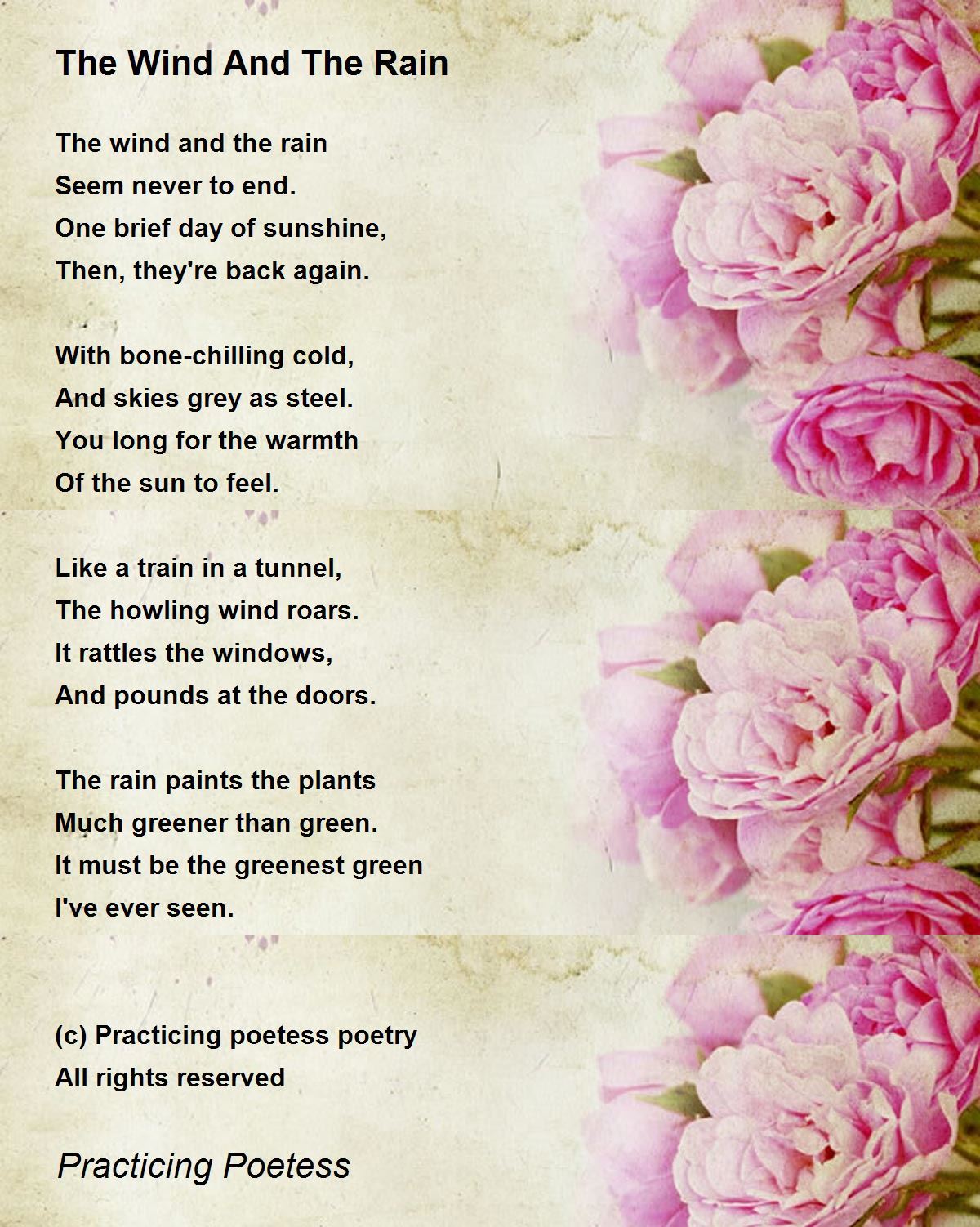 The Wind And The Rain - The Wind And The Rain Poem by Practicing Poetess