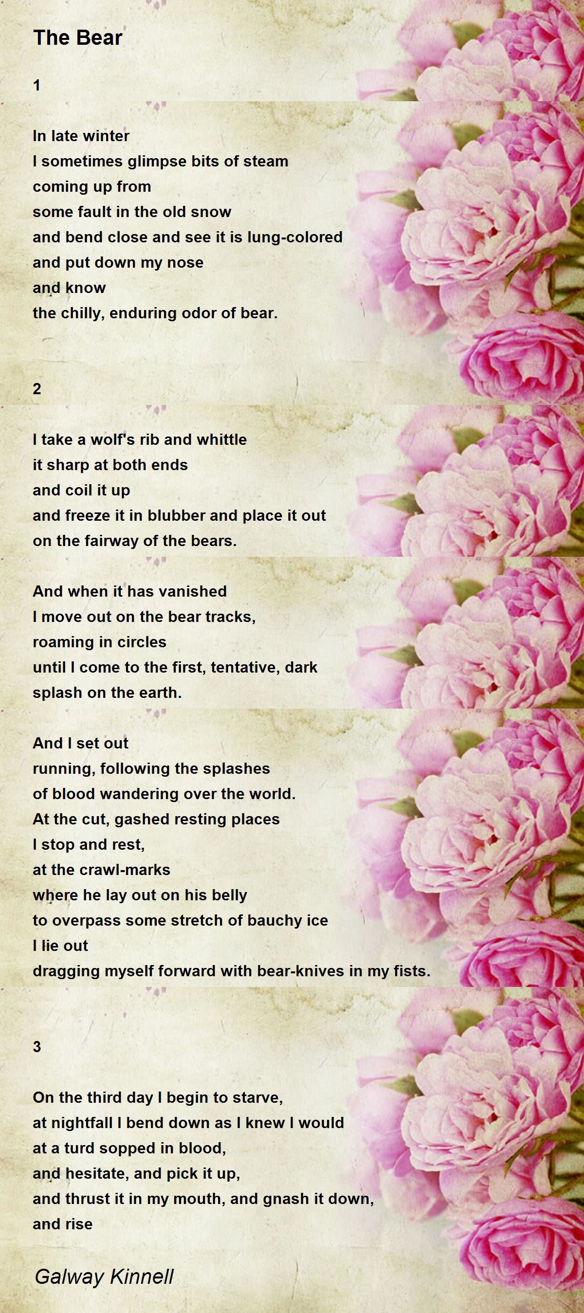 The Bear The Bear Poem by Galway Kinnell