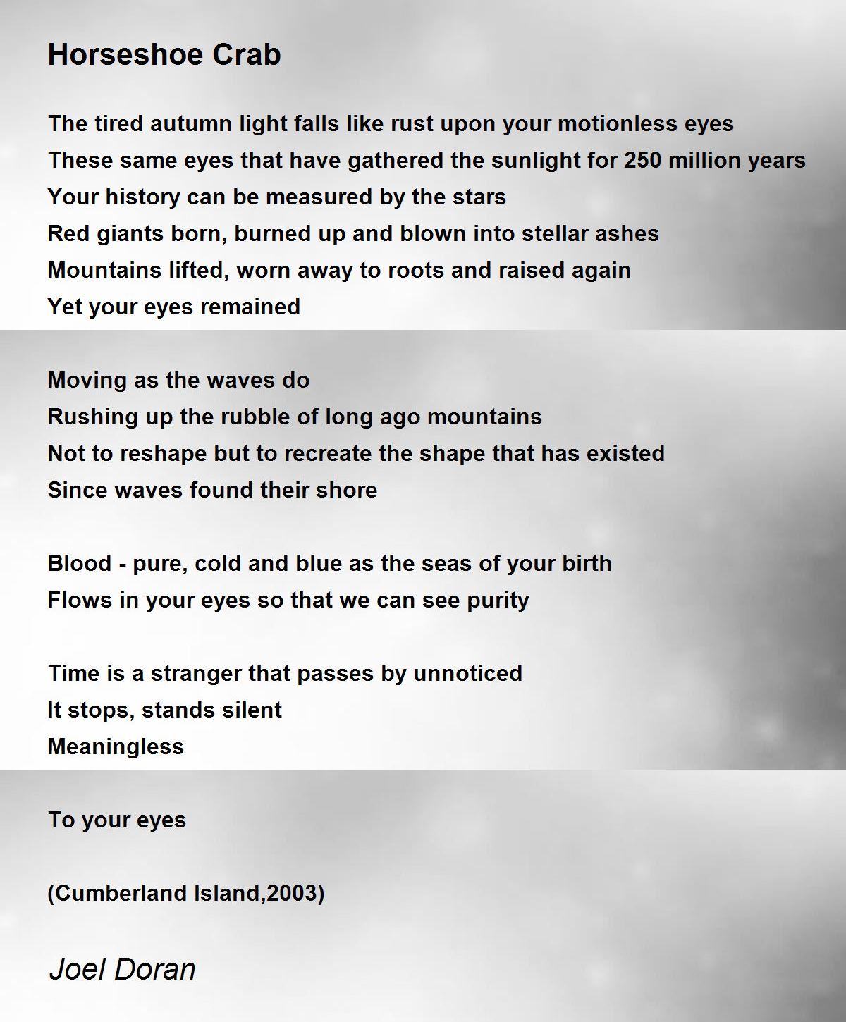 Horseshoe Crab Horseshoe Crab Poem by Joel Doran