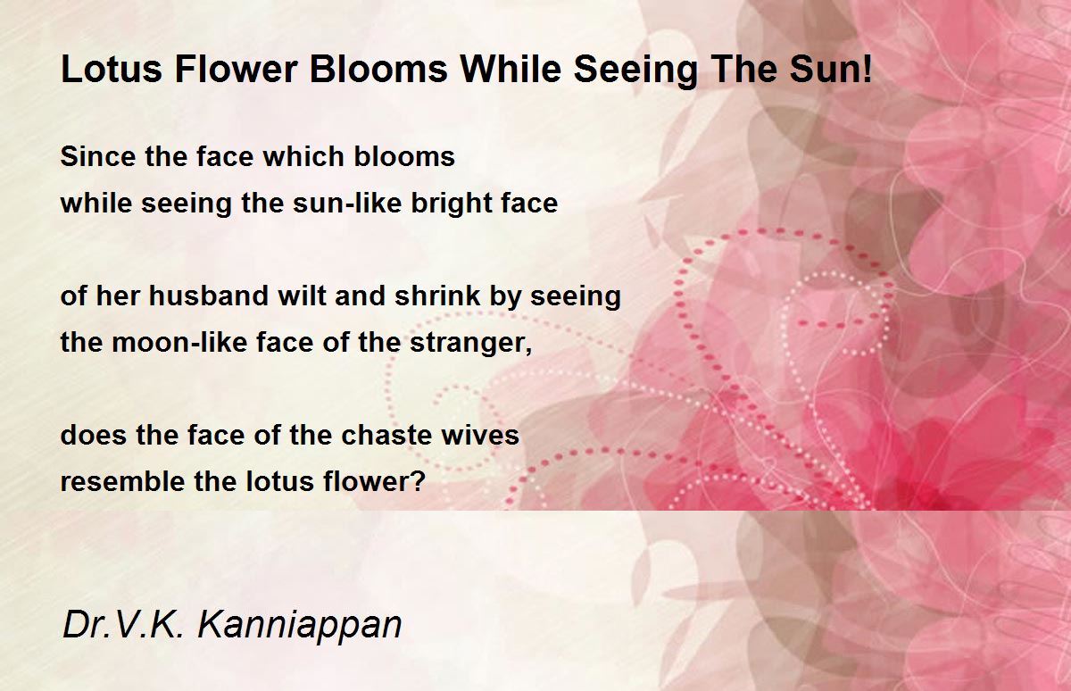 Lotus Flower Blooms While Seeing The Sun! Lotus Flower Blooms While