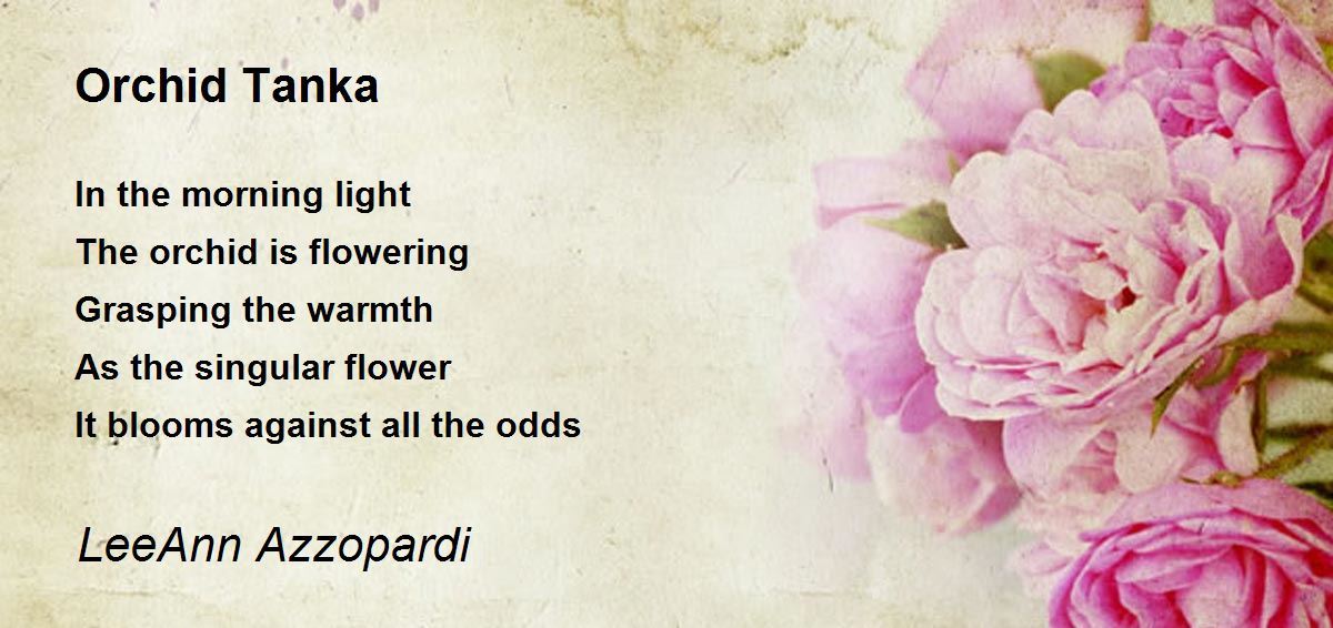 Orchid Tanka Poem by LeeAnn Azzopardi Poem Hunter