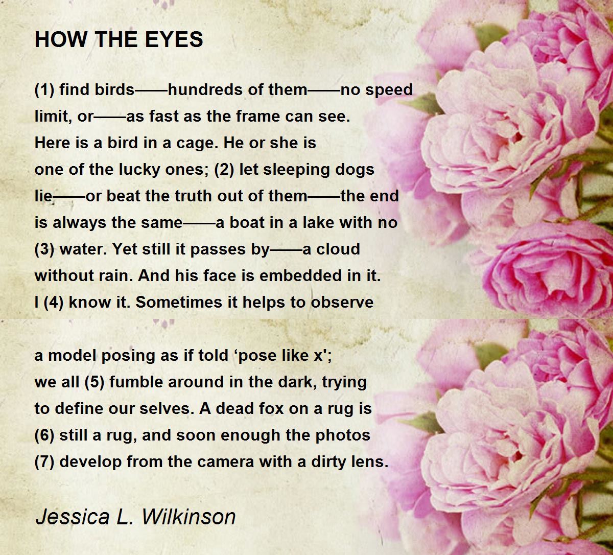 HOW THE EYES Poem by Jessica L. Wilkinson Poem Hunter