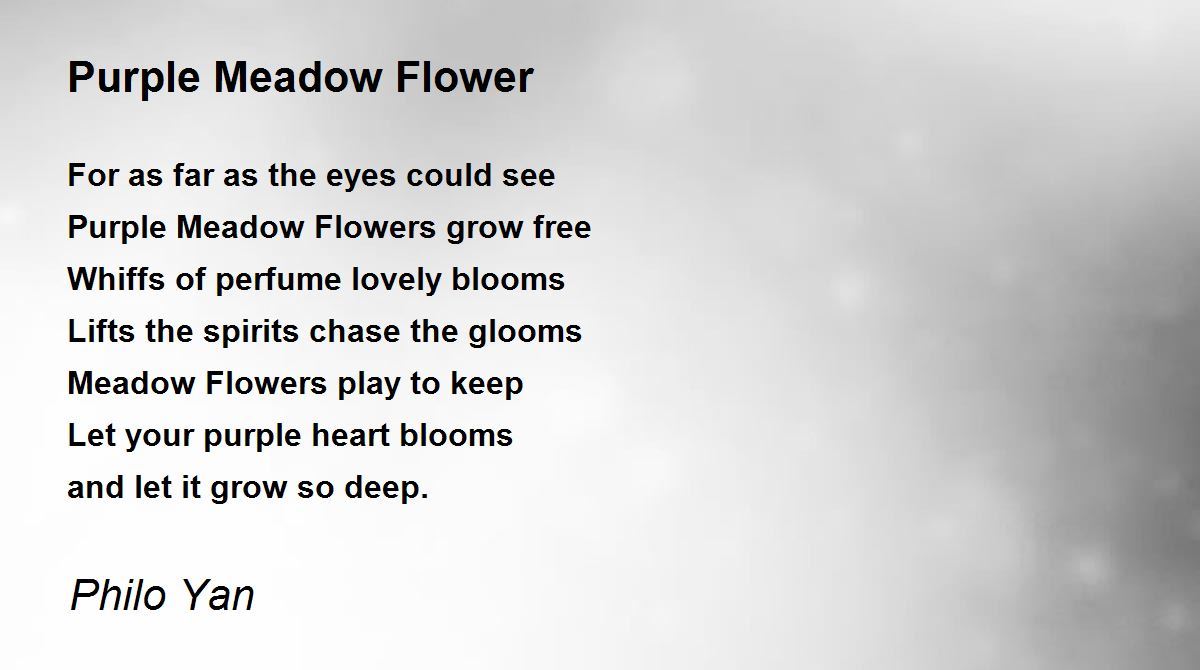 Purple Meadow Flower Purple Meadow Flower Poem by Philo Yan
