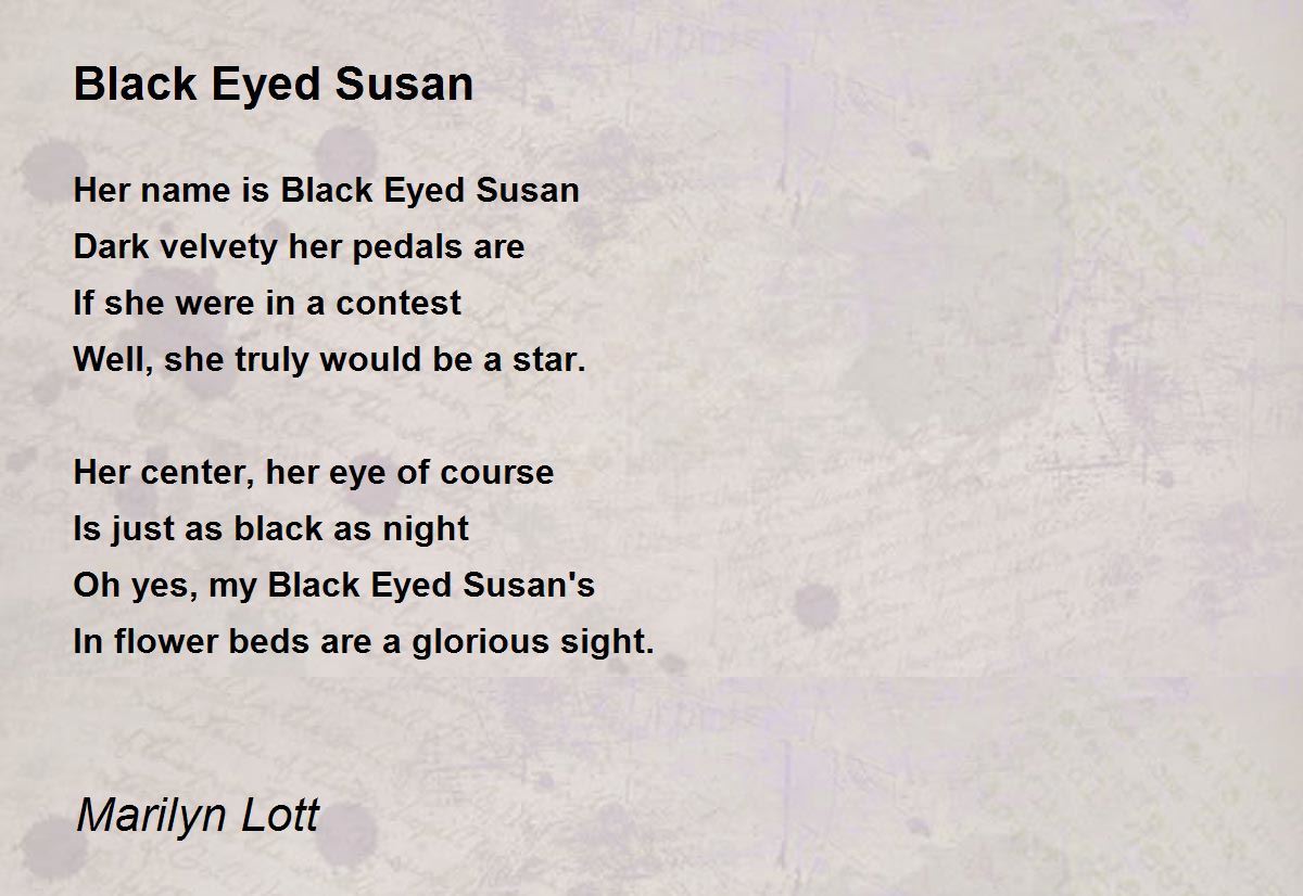 Black Eyed Susan Black Eyed Susan Poem by Marilyn Lott