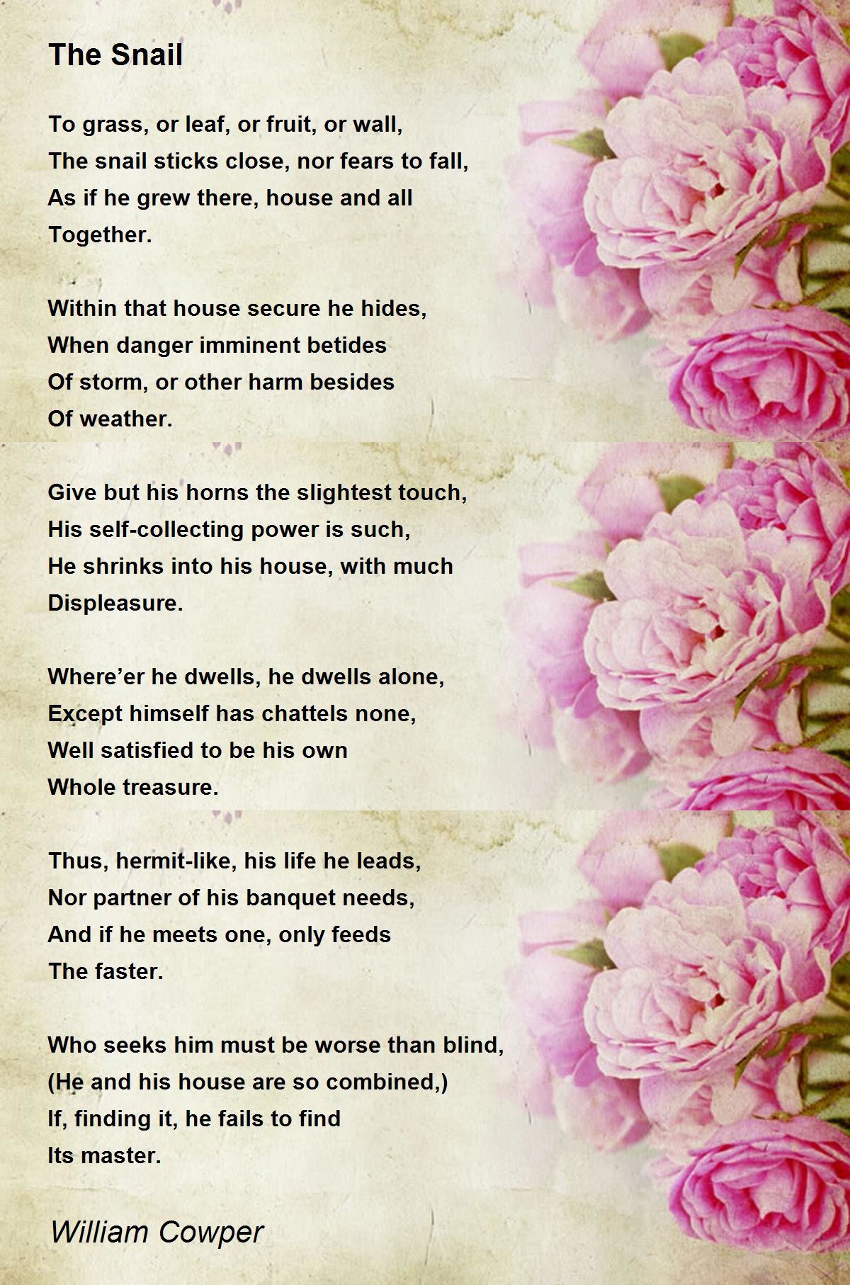 The Snail The Snail Poem by William Cowper