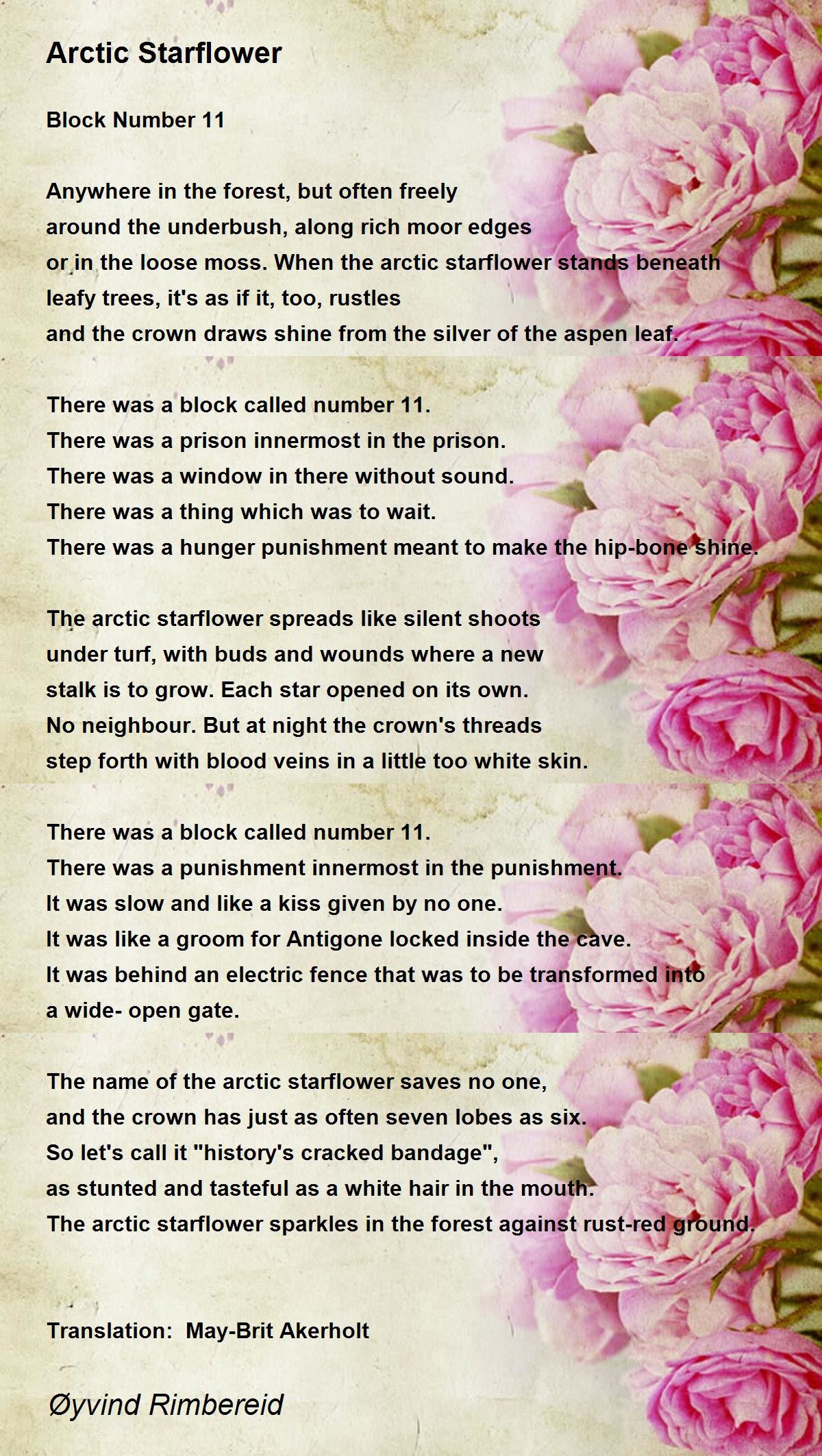 Arctic Starflower - Arctic Starflower Poem by Øyvind Rimbereid