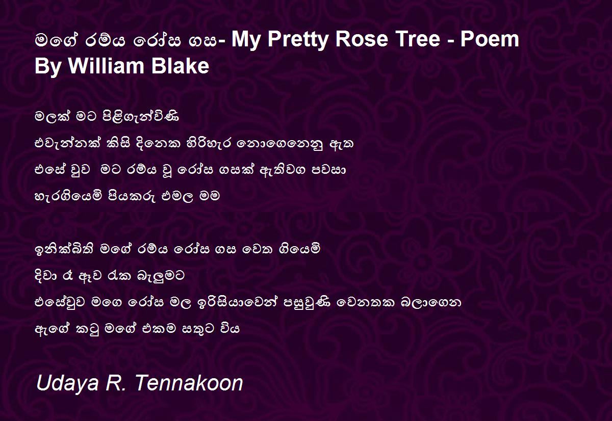 මගේ රම්‍ය රෝස ගස My Pretty Rose Tree Poem By William Blake by Udaya
