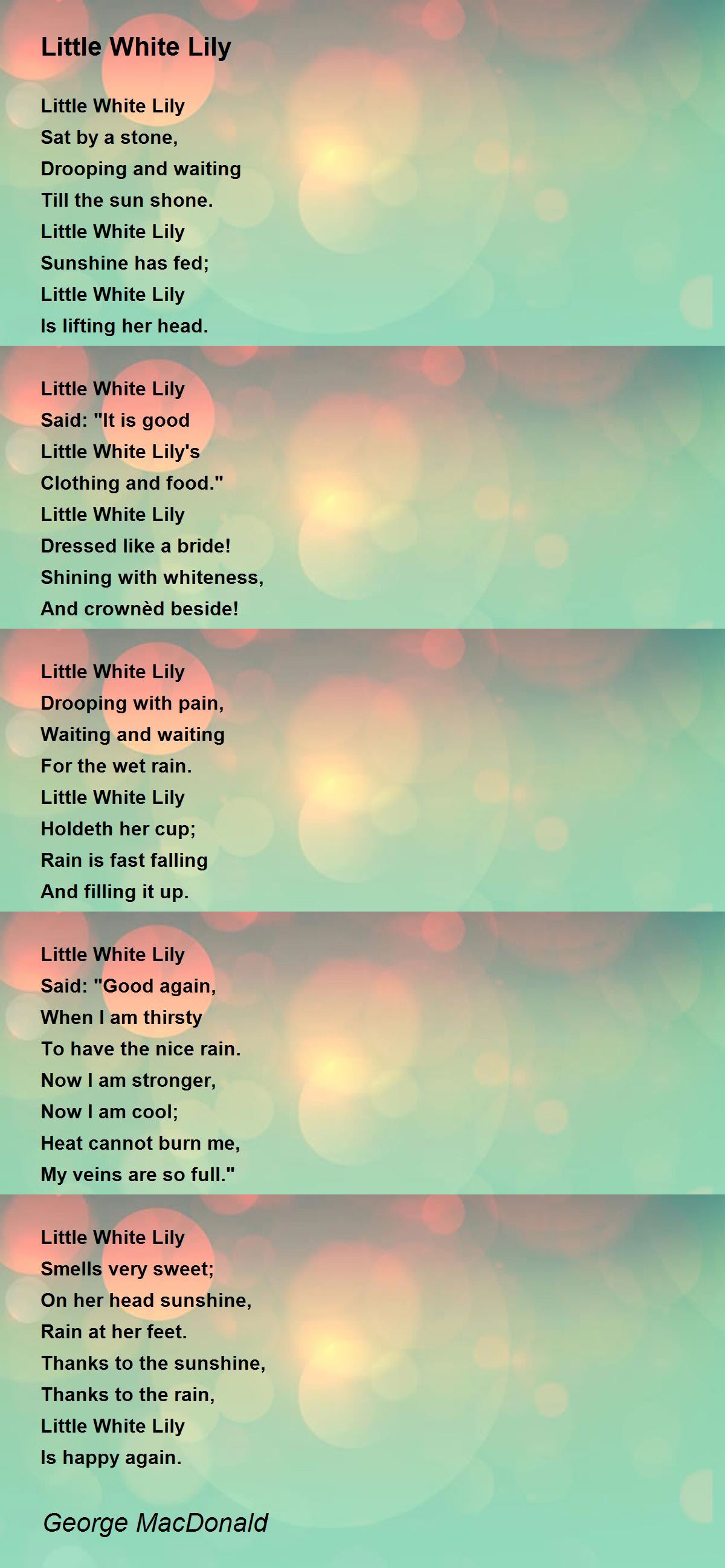 Little White Lily Little White Lily Poem by MacDonald
