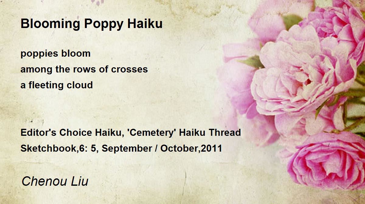 Blooming Poppy Haiku Blooming Poppy Haiku Poem by Chenou Liu