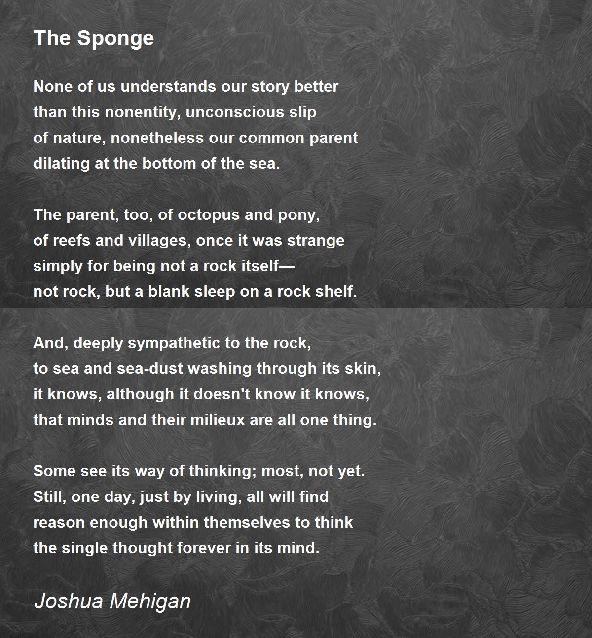 The Sponge The Sponge Poem by Joshua Mehigan