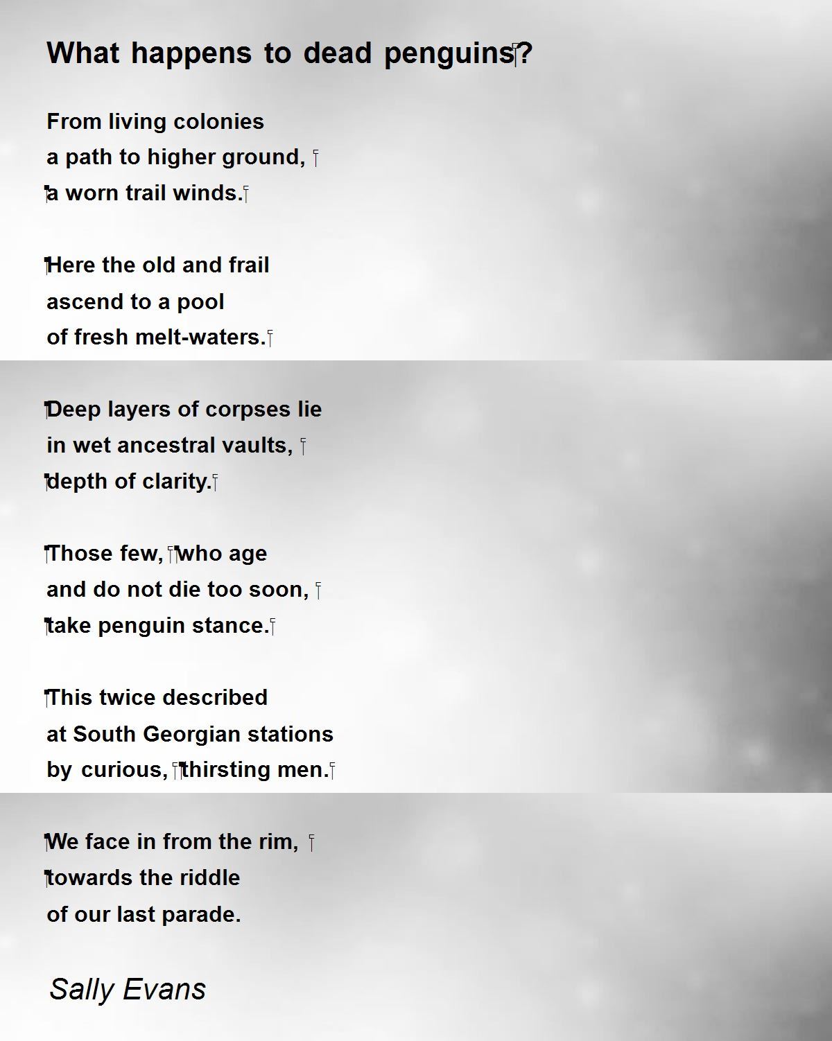 What happens to dead penguins‭? - What happens to dead penguins‭? Poem