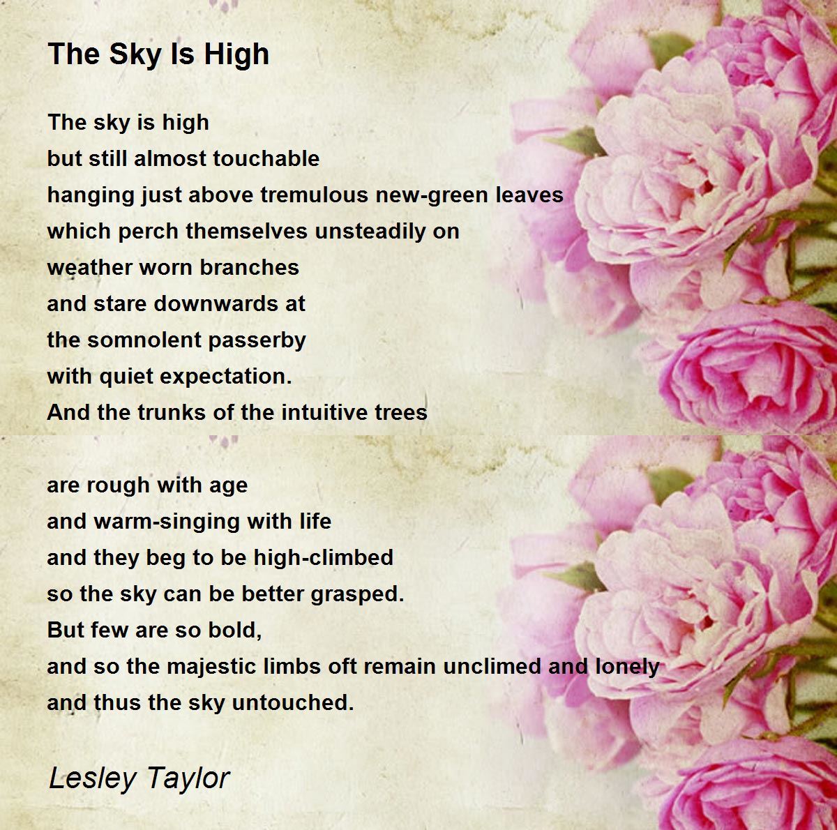The Sky Is High The Sky Is High Poem By Lesley Taylor The Sky Is High The Sky Is High Poem By Lesley Taylor