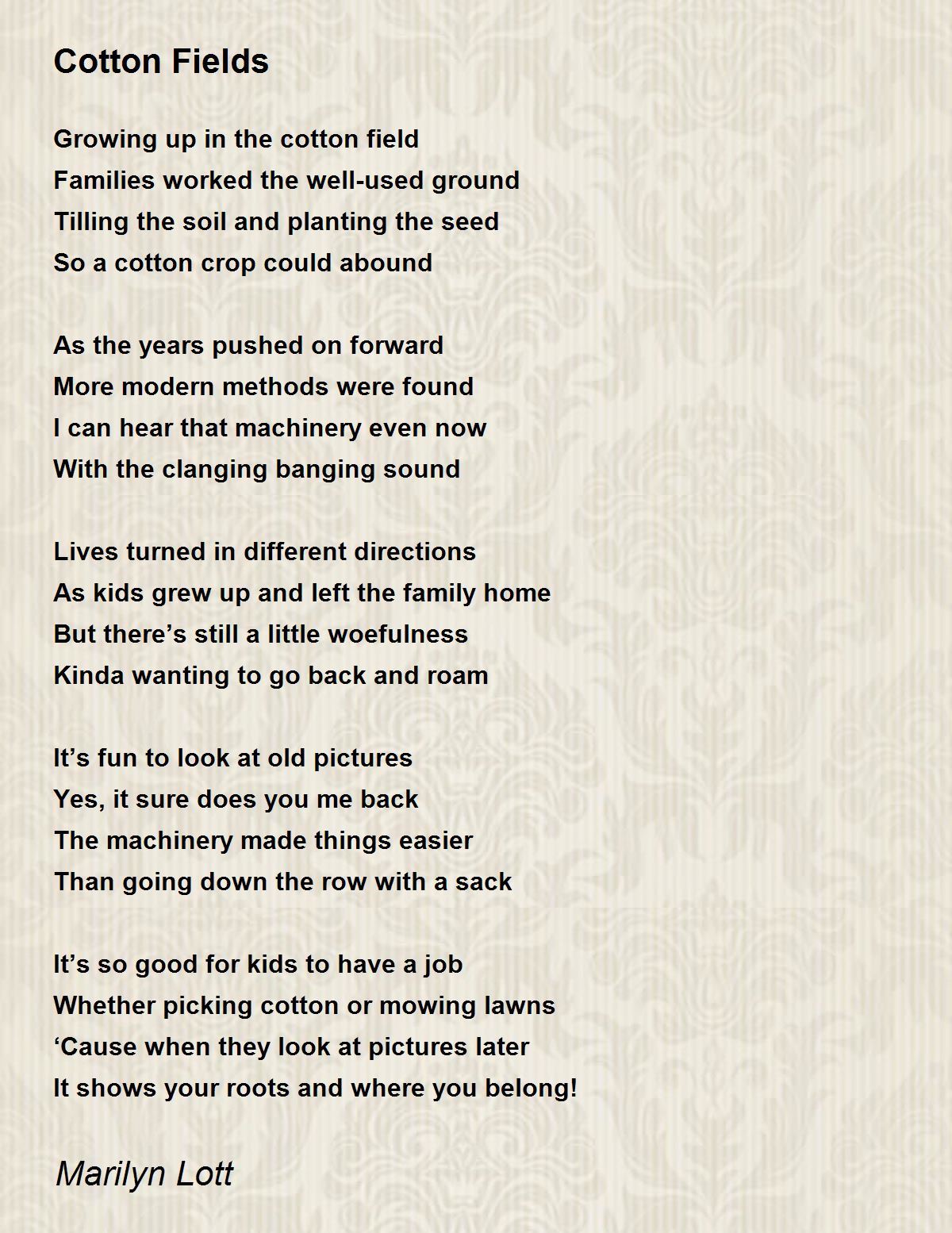 Cotton Fields Cotton Fields Poem by Marilyn Lott