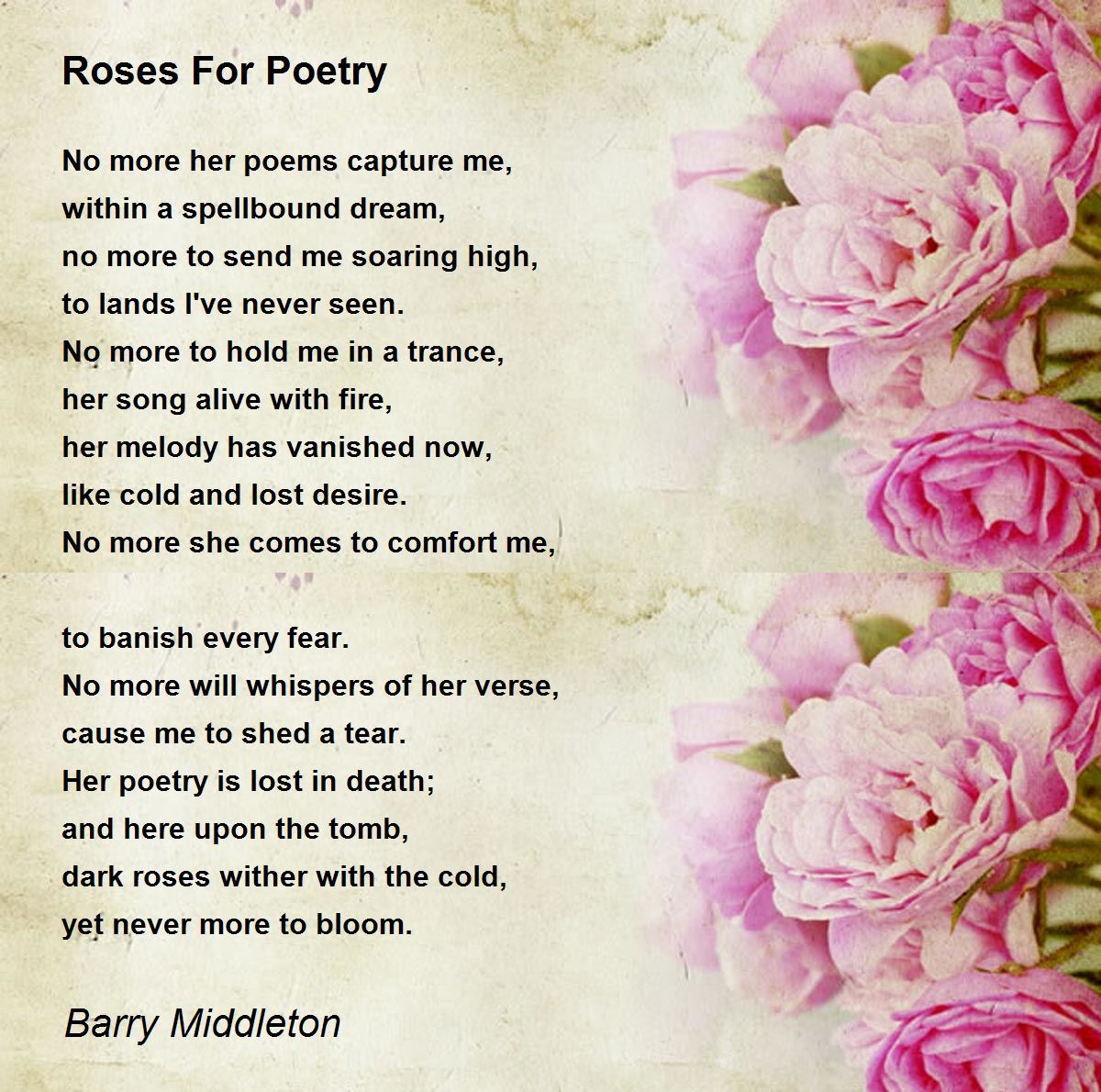Roses For Poetry by Barry Middleton Roses For Poetry Poem
