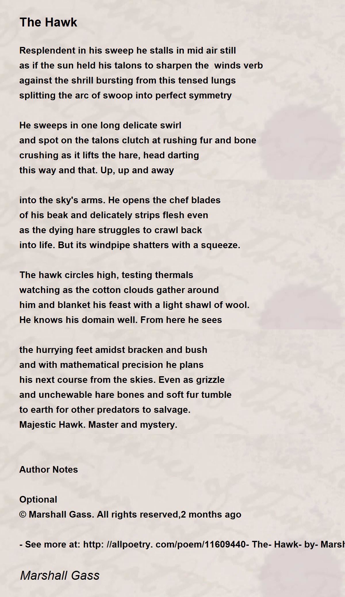 The Hawk The Hawk Poem by Marshall Gass