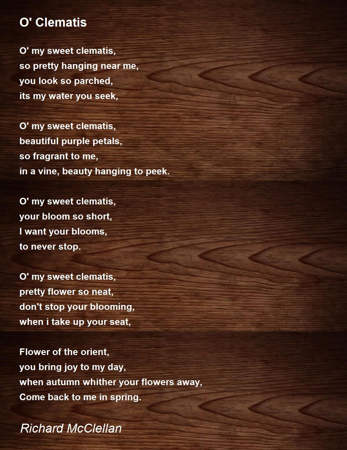O' Clematis O' Clematis Poem by Richard McClellan