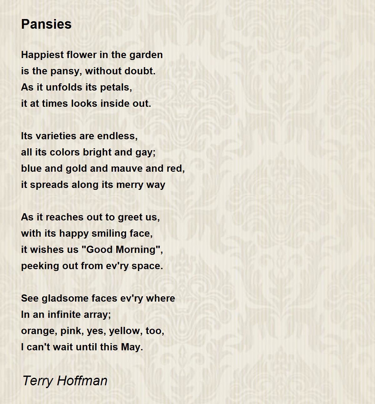 Pansies Pansies Poem by Terry Hoffman
