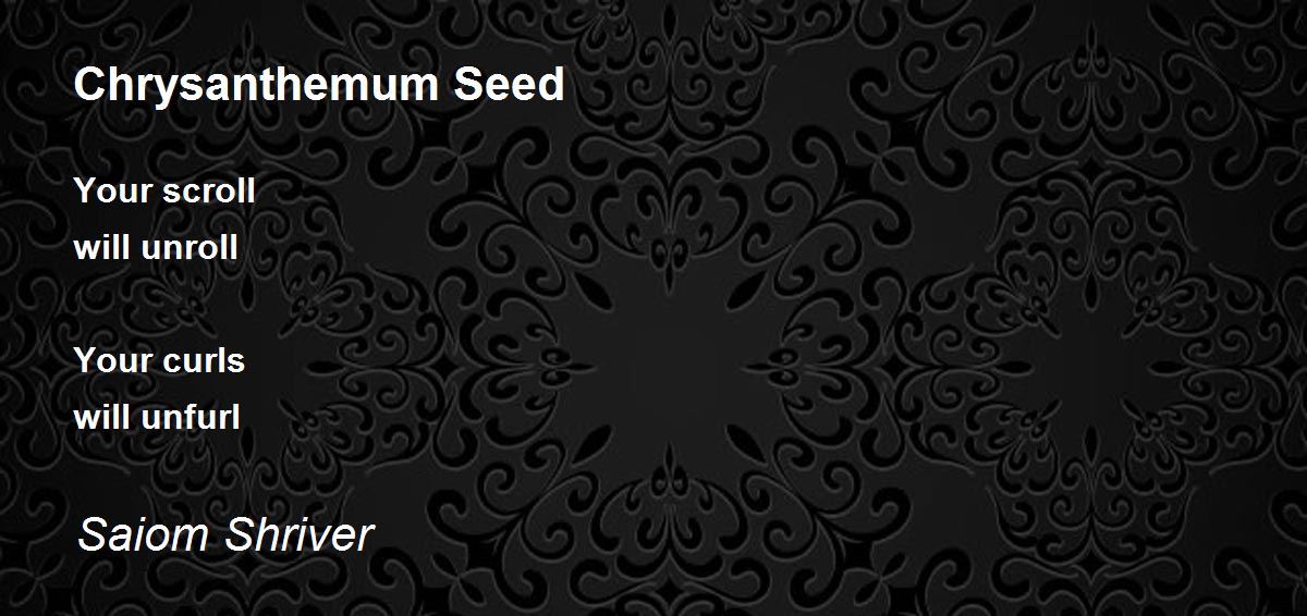 Chrysanthemum Seed Poem by Saiom Shriver Poem Hunter