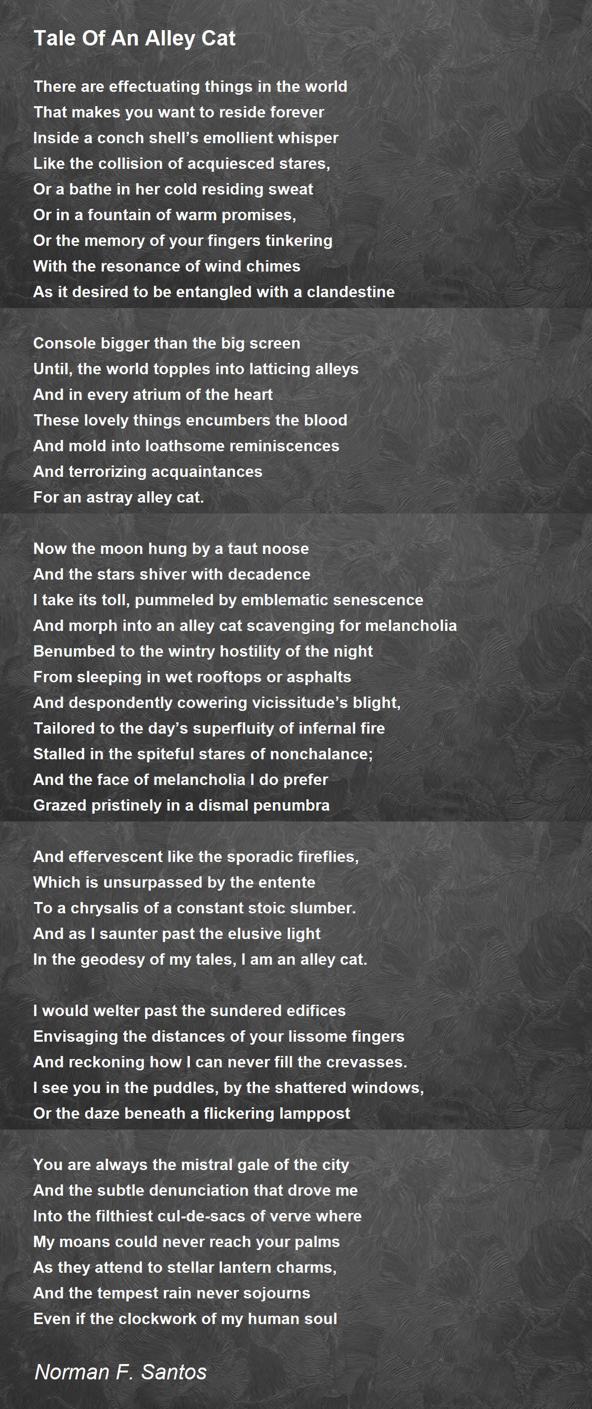 Tale Of An Alley Cat Tale Of An Alley Cat Poem by Norman F. Santos