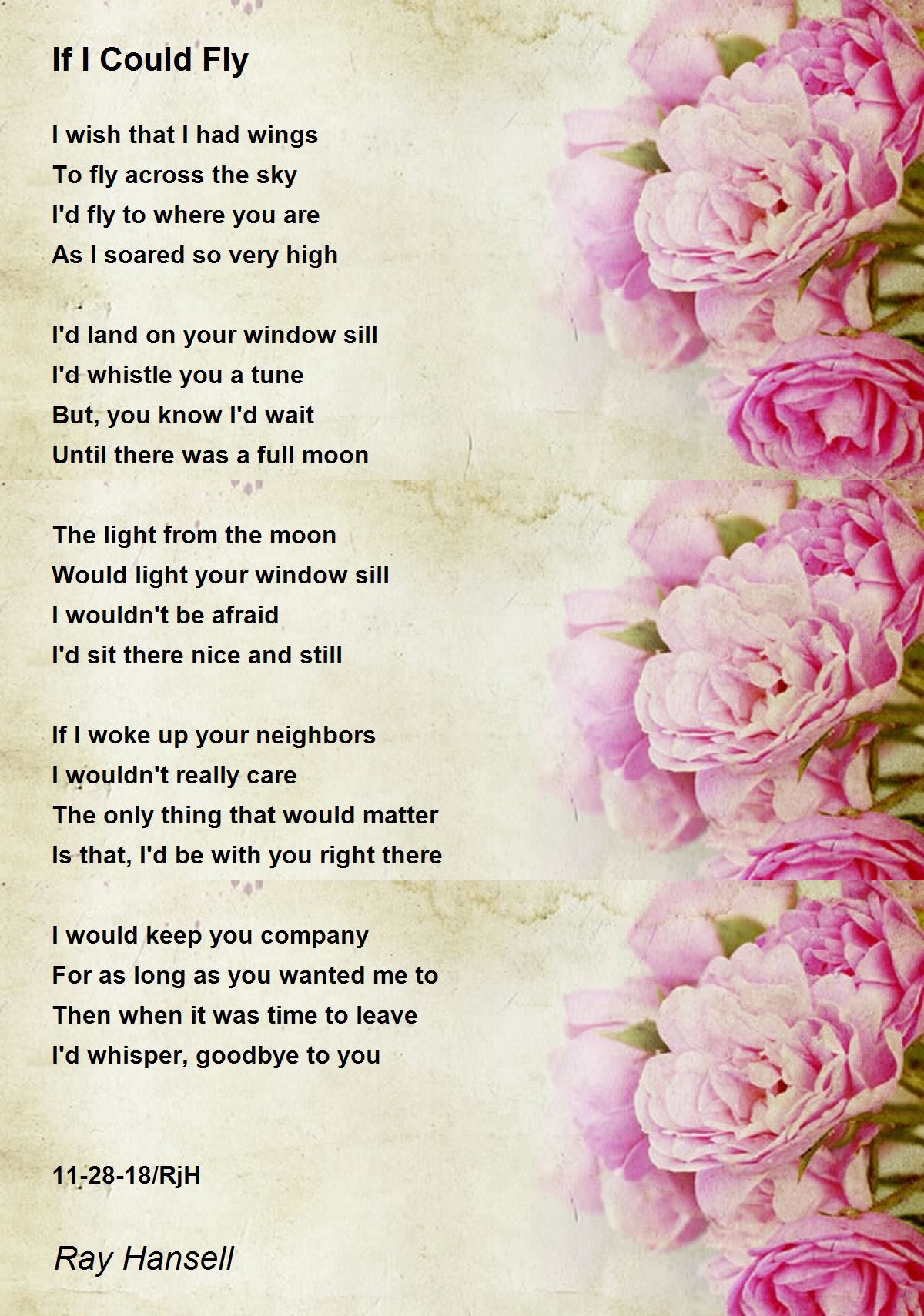 If I Could Fly Poem by Ray Hansell Poem Hunter