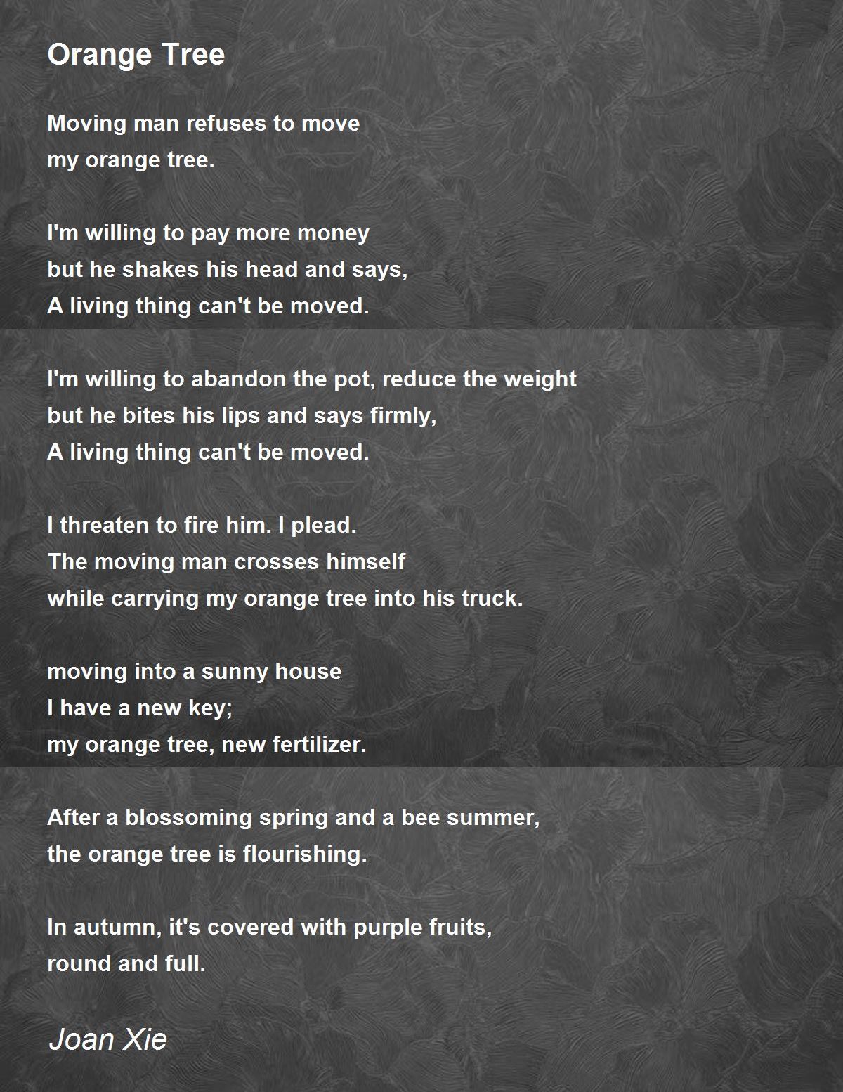 Orange Tree Poem by Joan Xie Poem Hunter