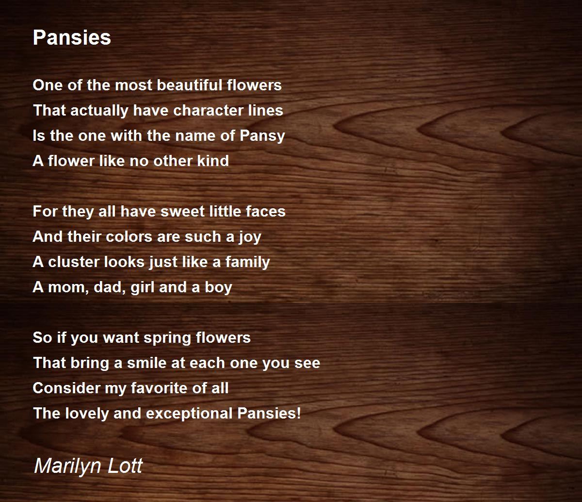 Pansies Pansies Poem by Marilyn Lott