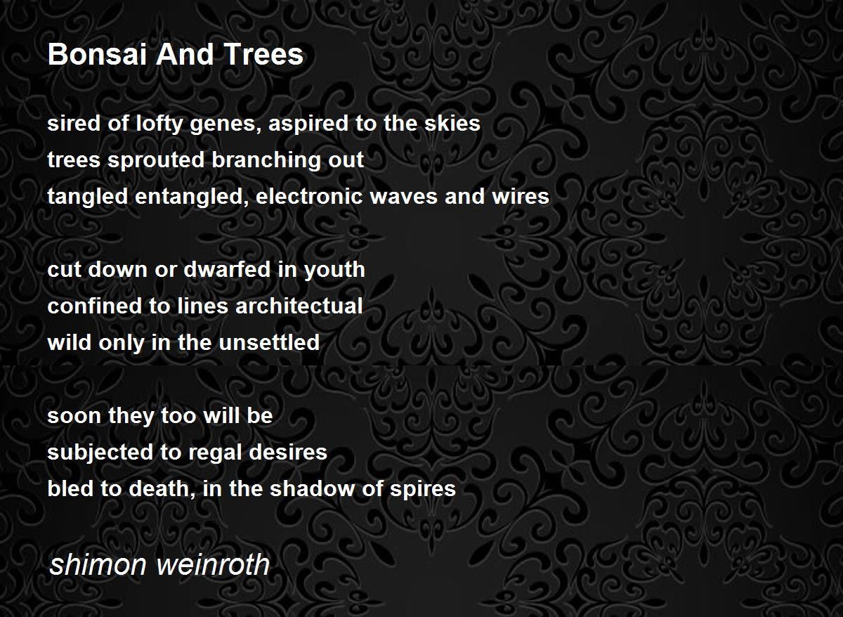 Bonsai And Trees by shimon weinroth Bonsai And Trees Poem