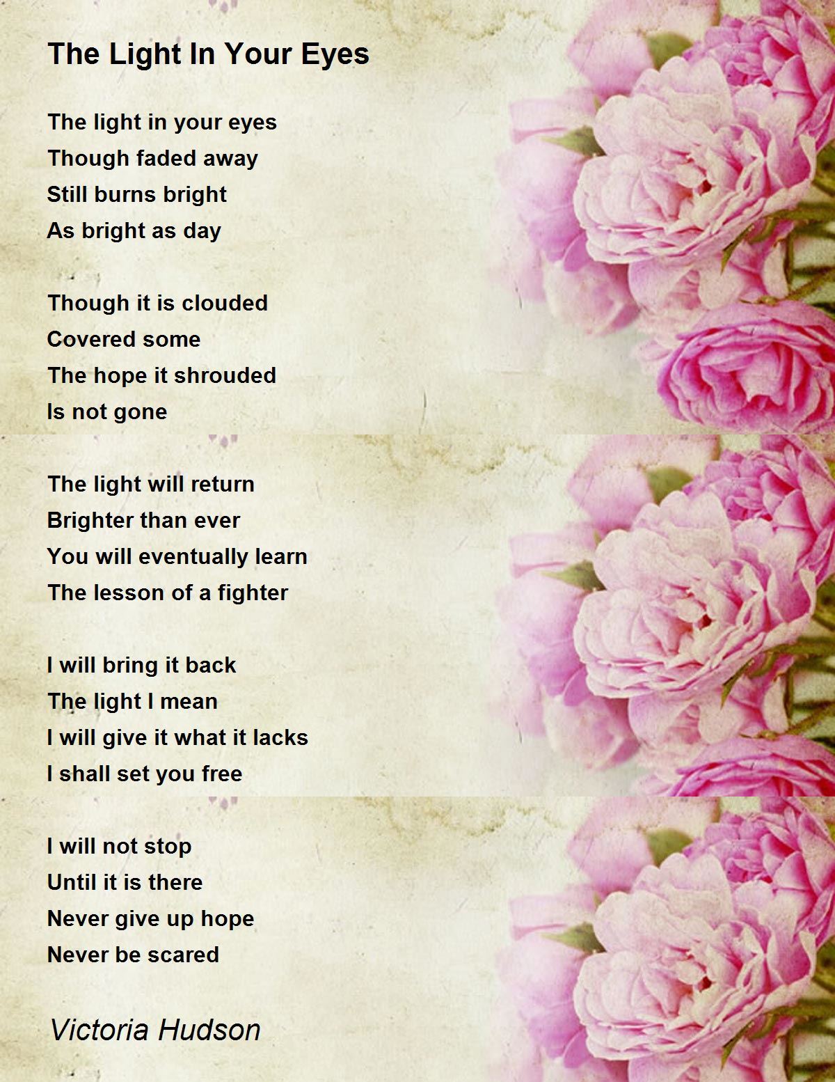 The Light In Your Eyes The Light In Your Eyes Poem by Victoria Hudson