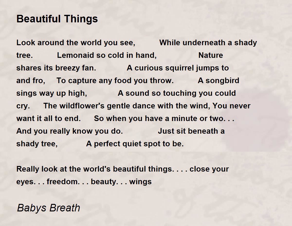 Beautiful Things Poem by Babys Breath Poem Hunter
