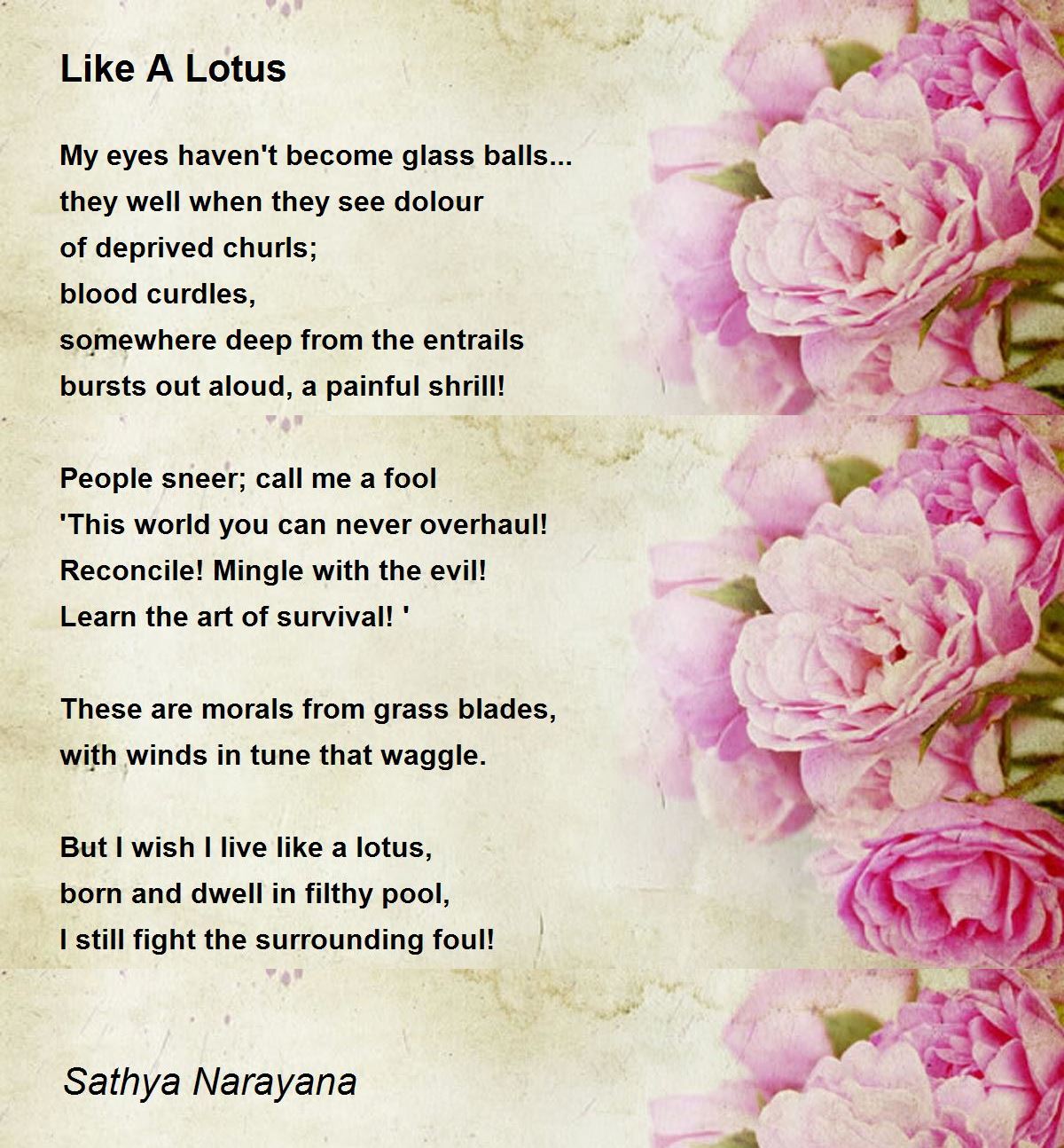 Like A Lotus Like A Lotus Poem by Sathya Narayana
