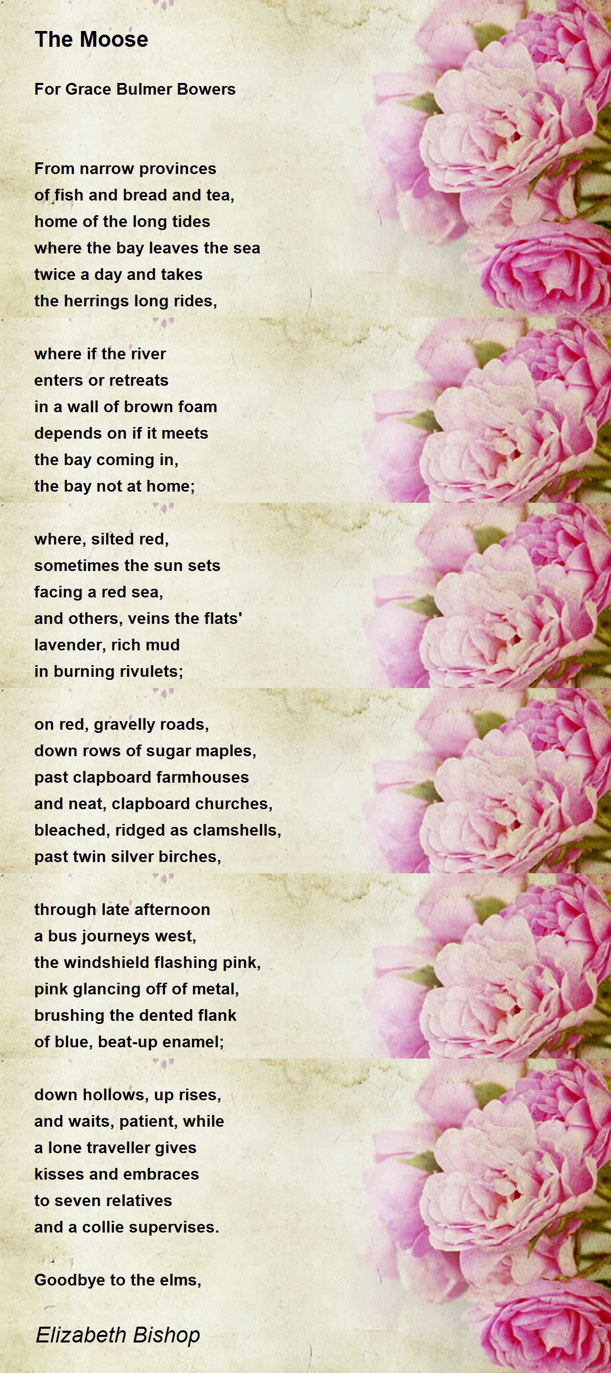 The Moose Poem by Elizabeth Bishop - Poem Hunter