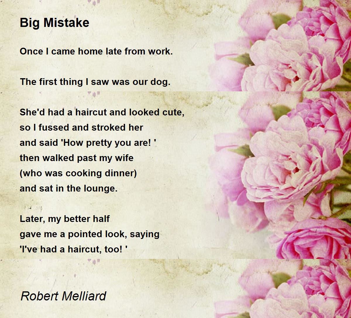 Big Mistake Big Mistake Poem by Robert Melliard