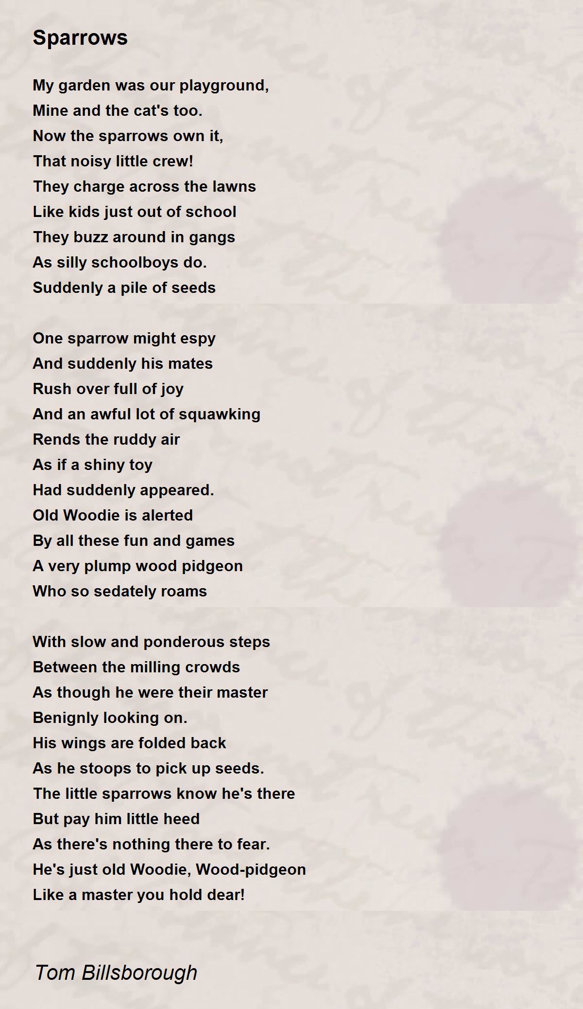 Sparrows Sparrows Poem by Tom Billsborough
