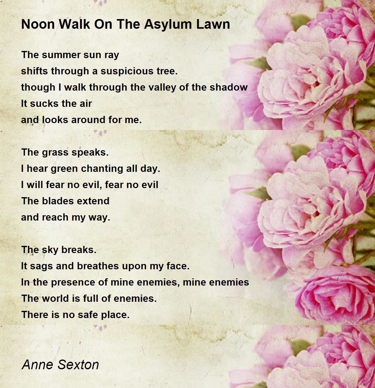 Noon Walk On The Asylum Lawn Poem by Anne Sexton - Poem Hunter