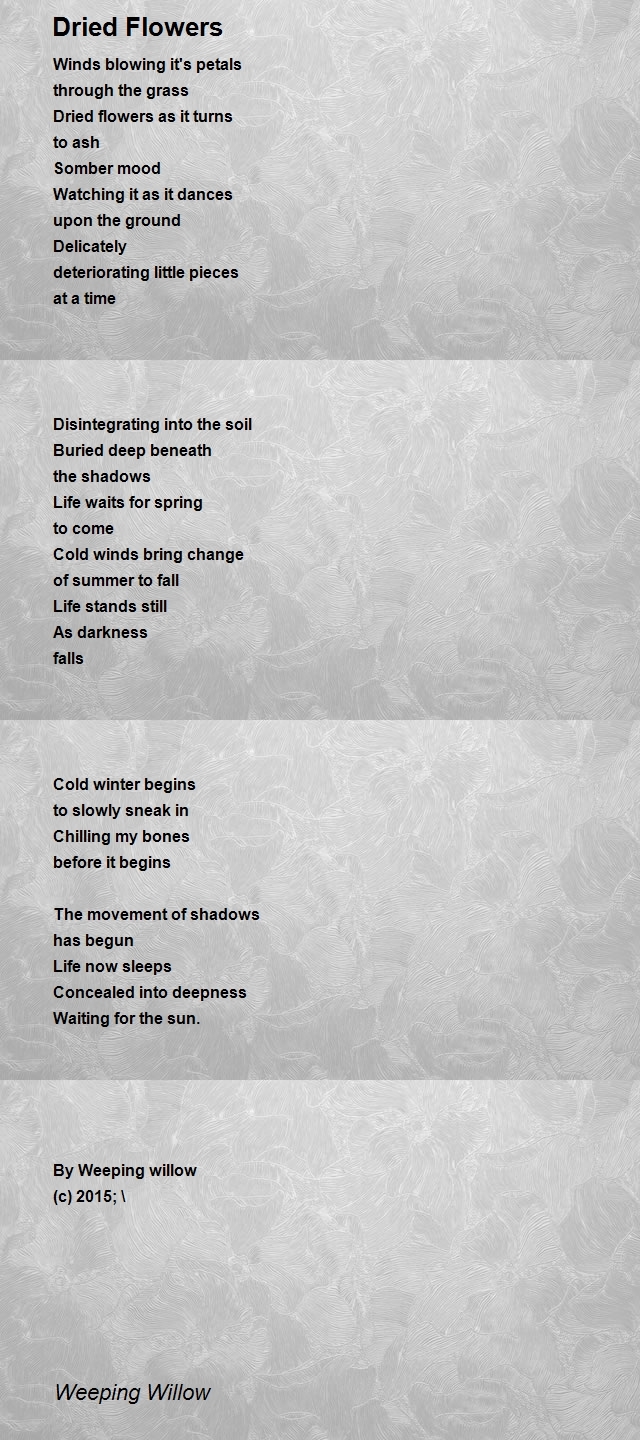 Dried Flowers Poem by Weeping Willow Poem Hunter