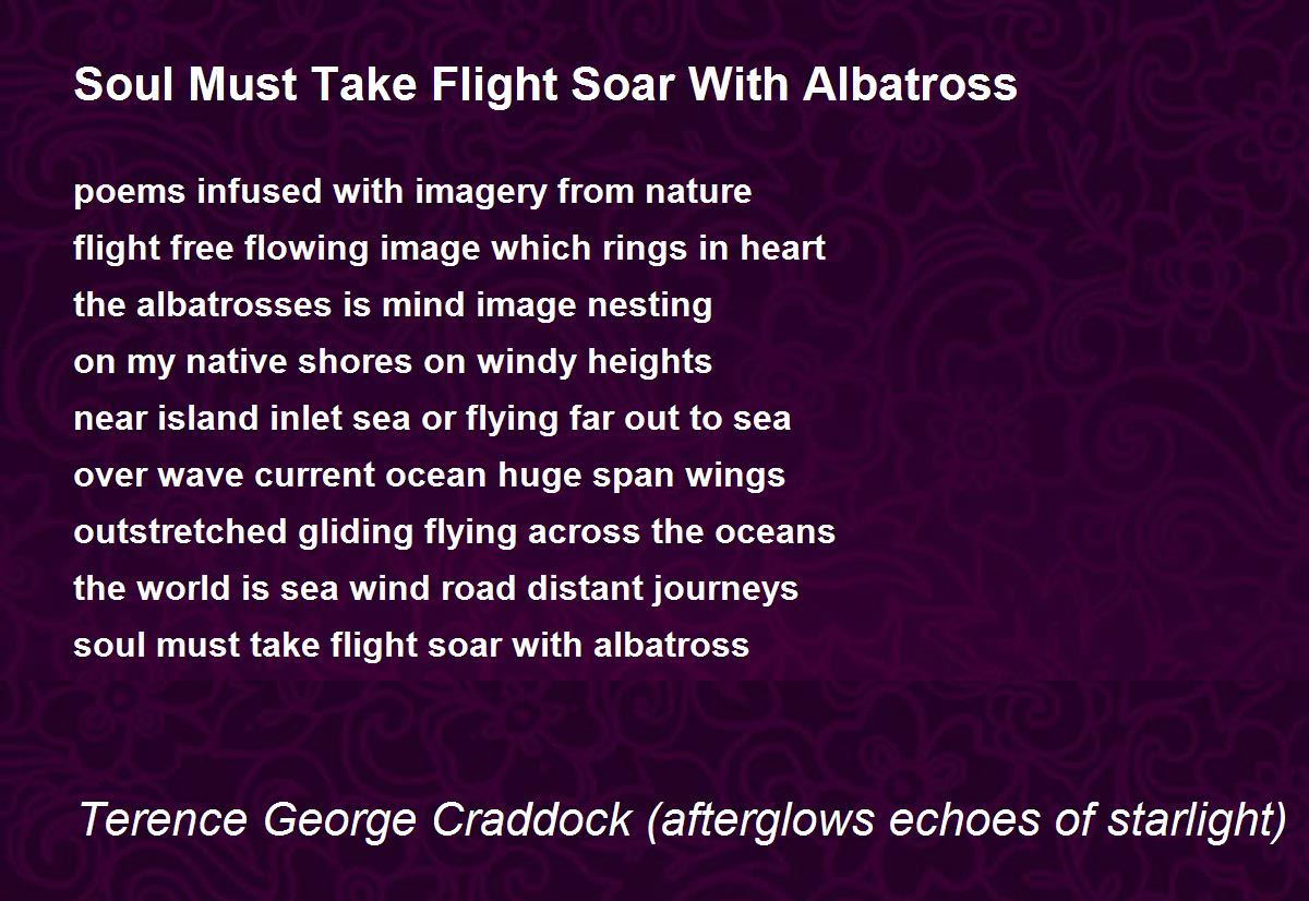 Soul Must Take Flight Soar With Albatross by Terence Craddock Soul