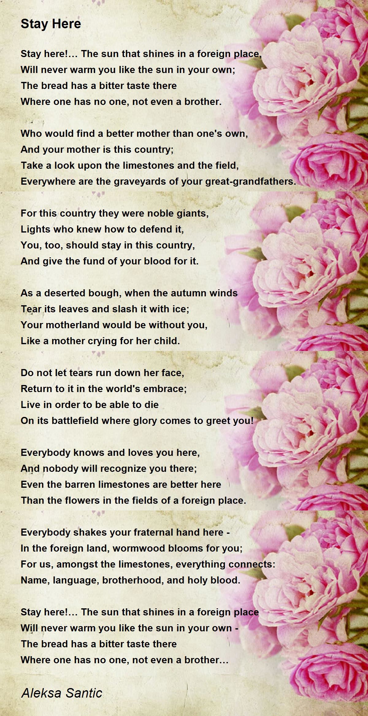 Stay Here Stay Here Poem by Aleksa Santic