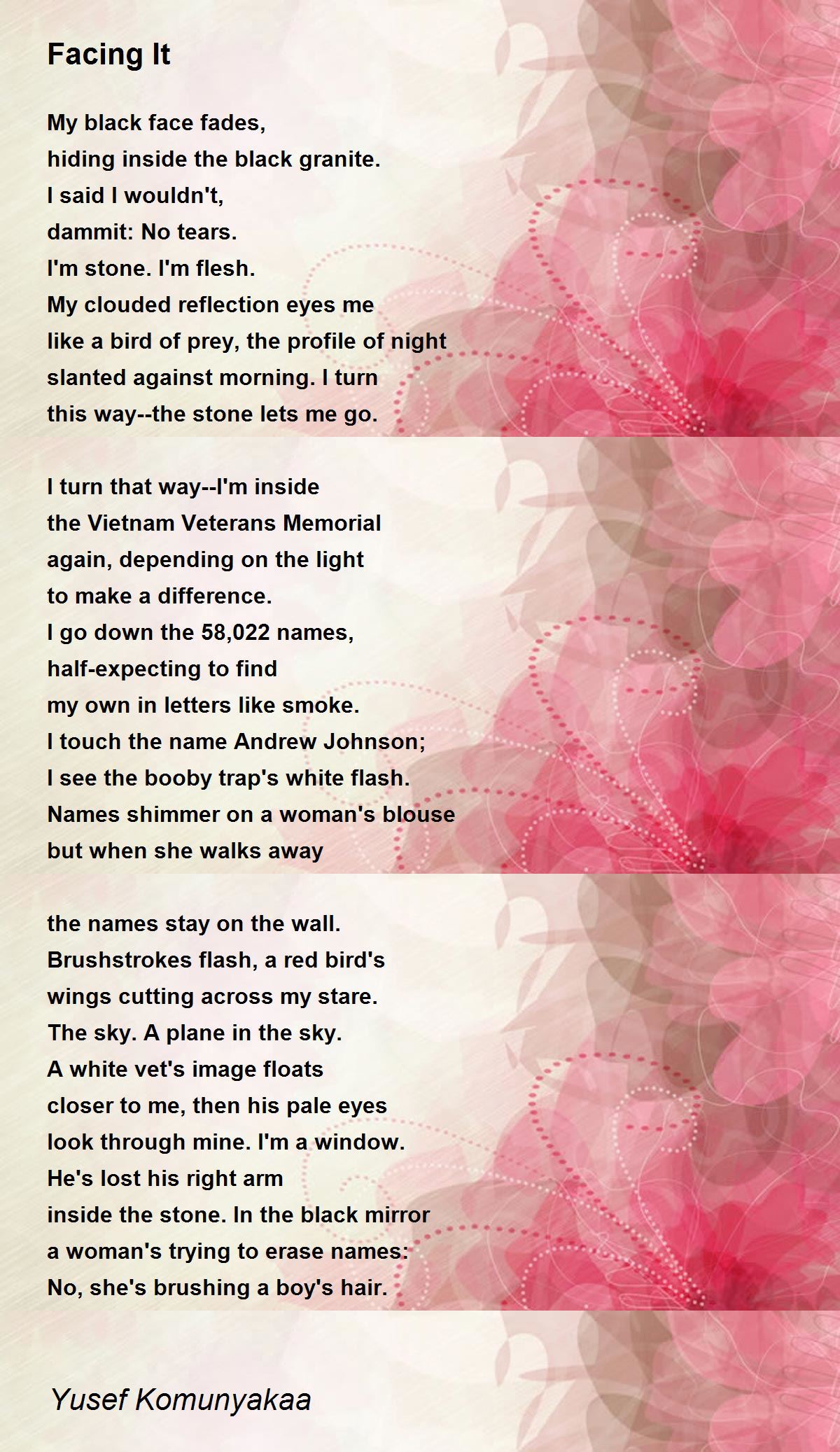 Facing It Poem by Yusef Komunyakaa - Poem Hunter