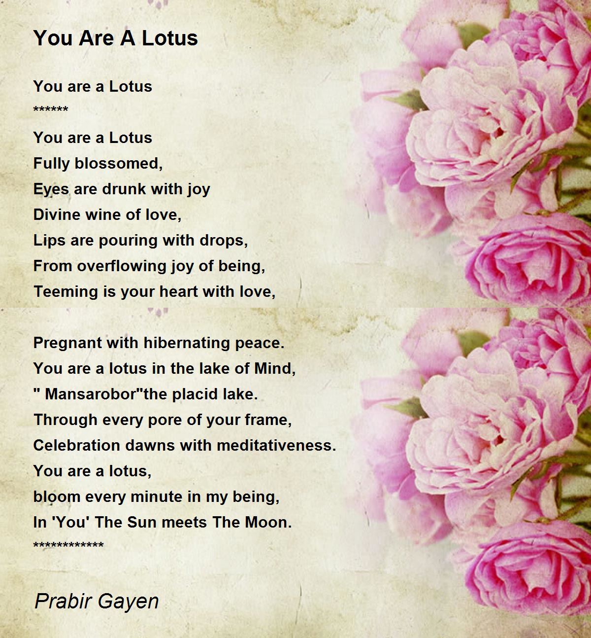 Lotus flower lyrics