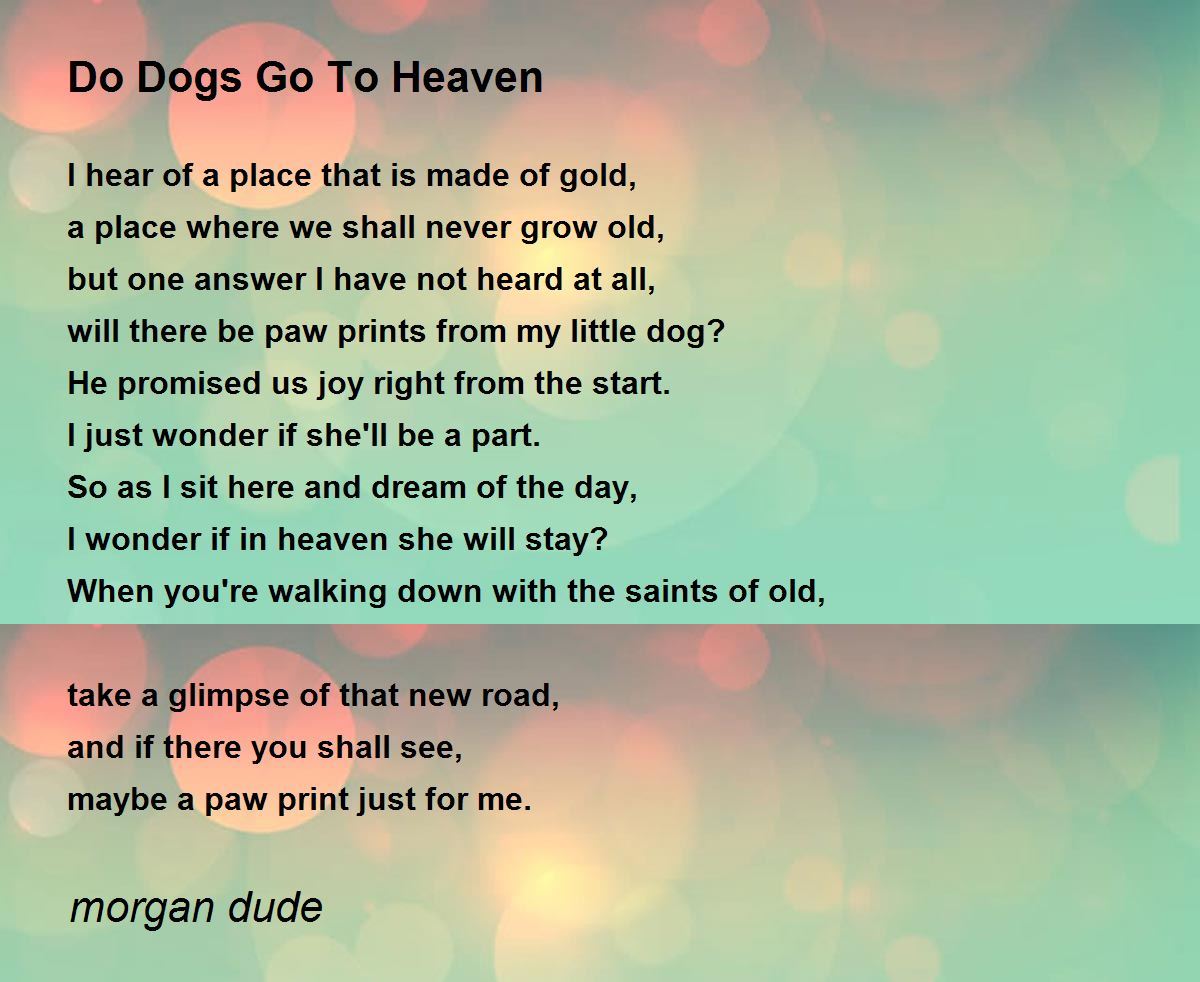 Do Dogs Go To Heaven - Do Dogs Go To Heaven Poem by morgan dude