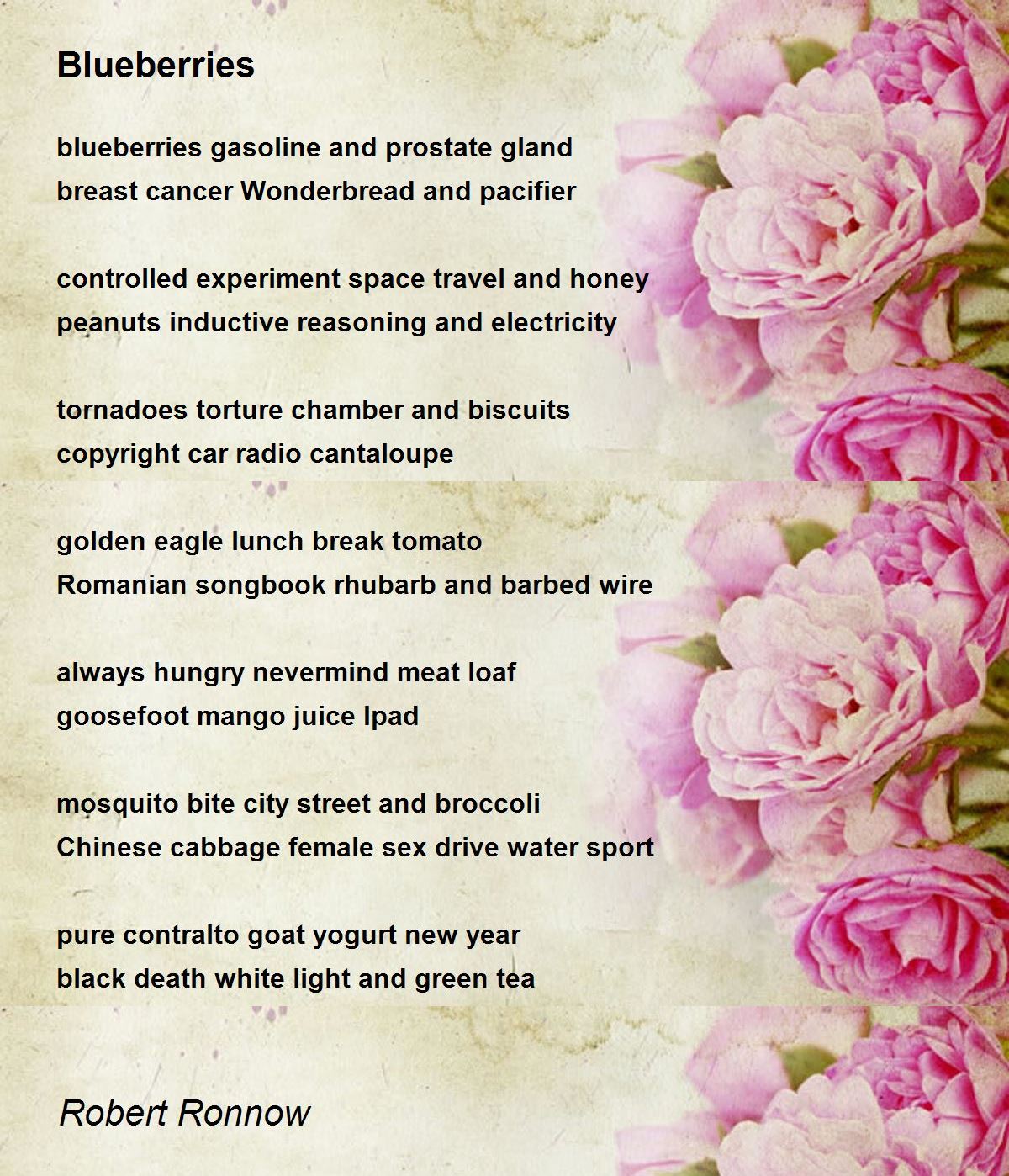 Blueberries Blueberries Poem by Robert Ronnow