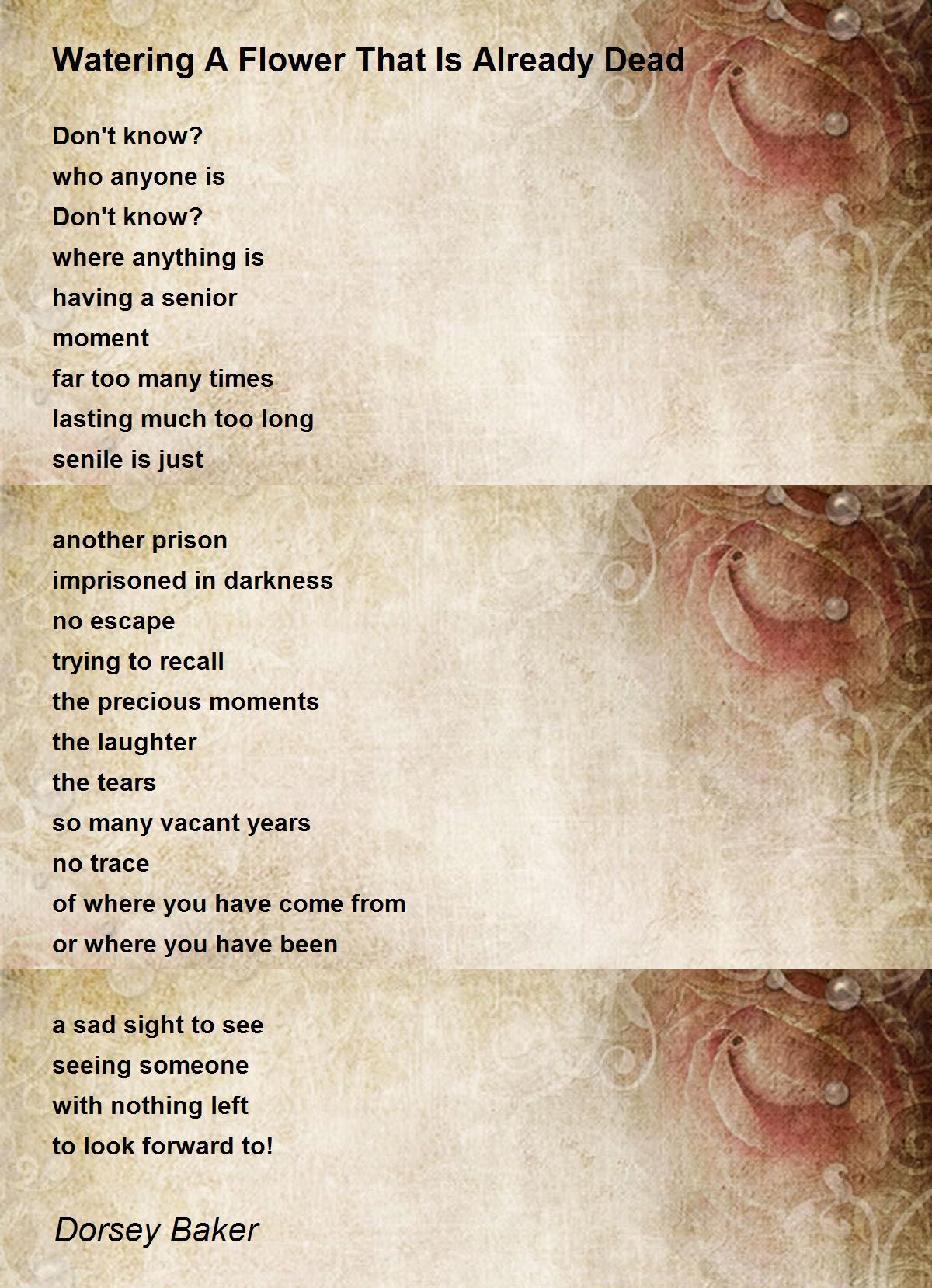 Watering A Flower That Is Already Dead by Dorsey Baker Watering A